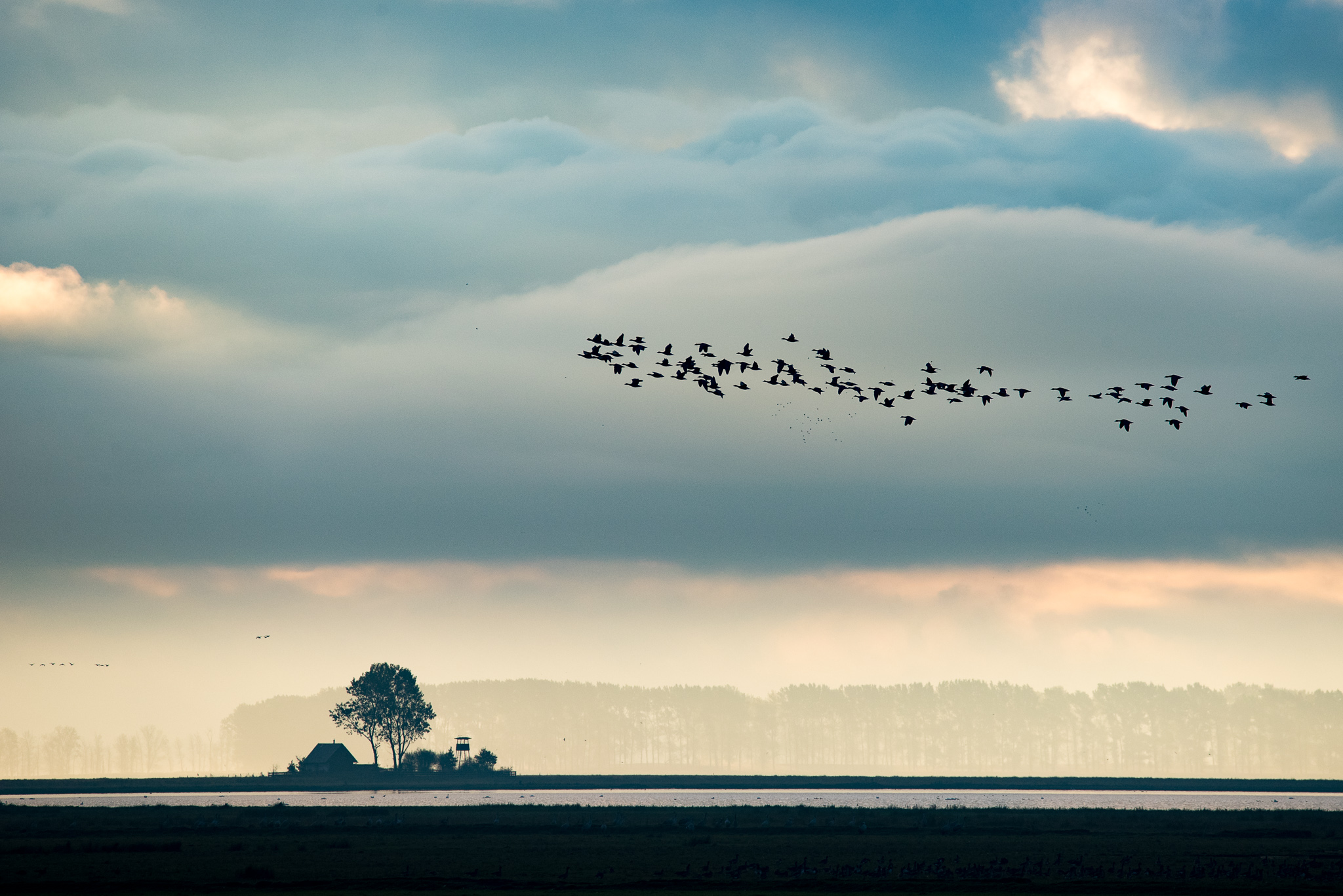 092-zingst-DSC_6142.jpg