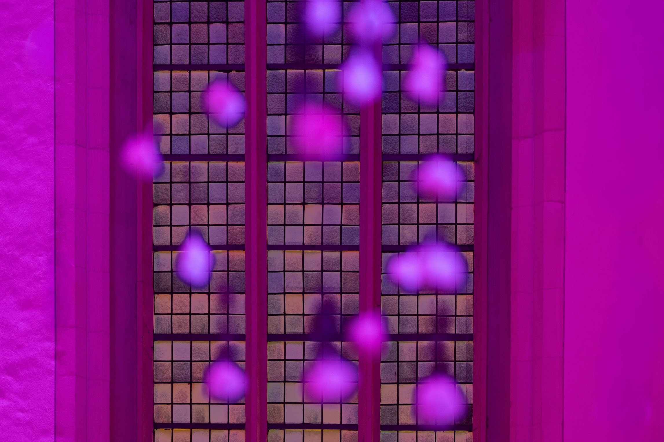 032-CityAdvent-NZ8_4454-2K.jpg
