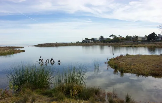 Malibu_Lagoon.jpg