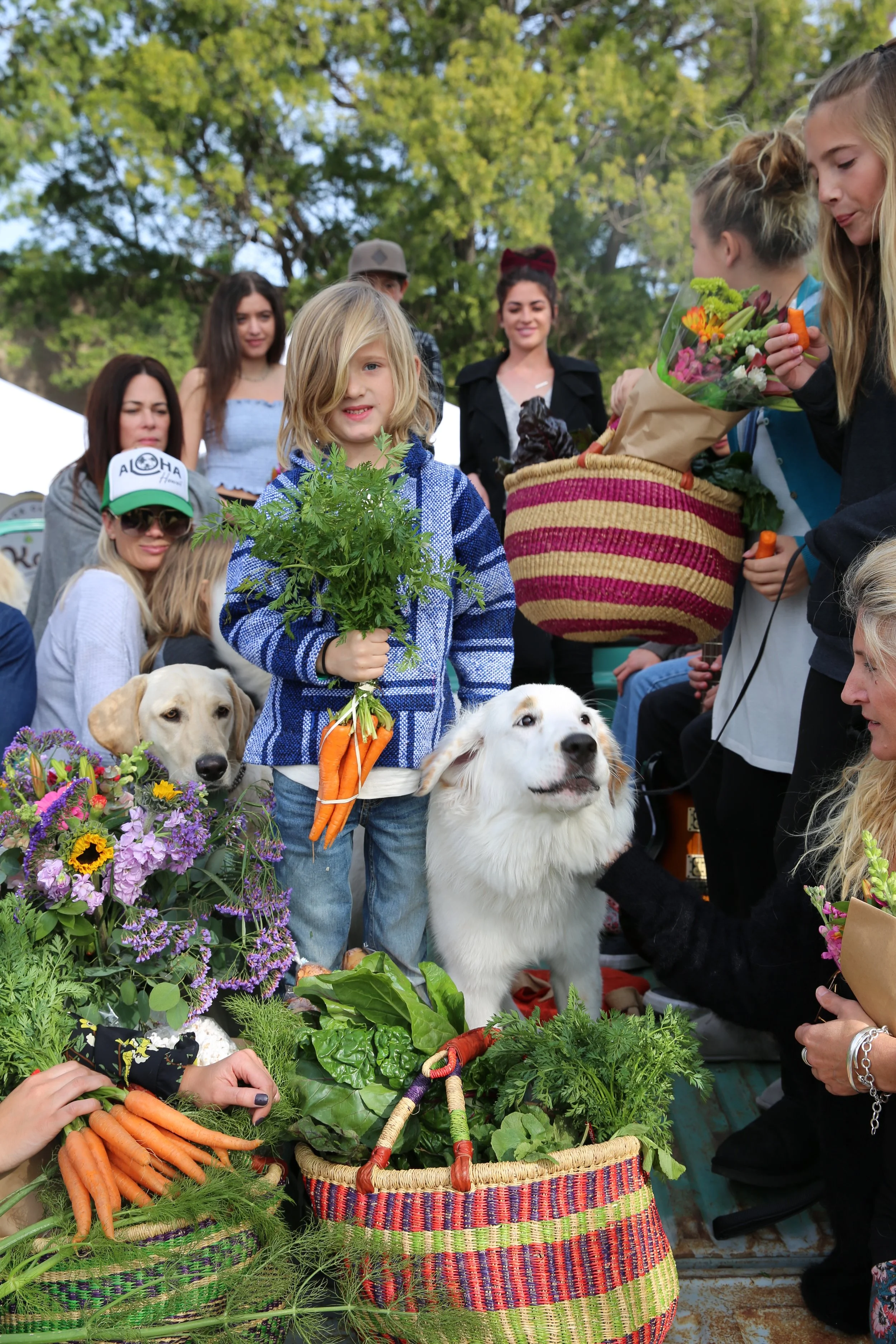 dog and veggies 0Z1A3078.jpg