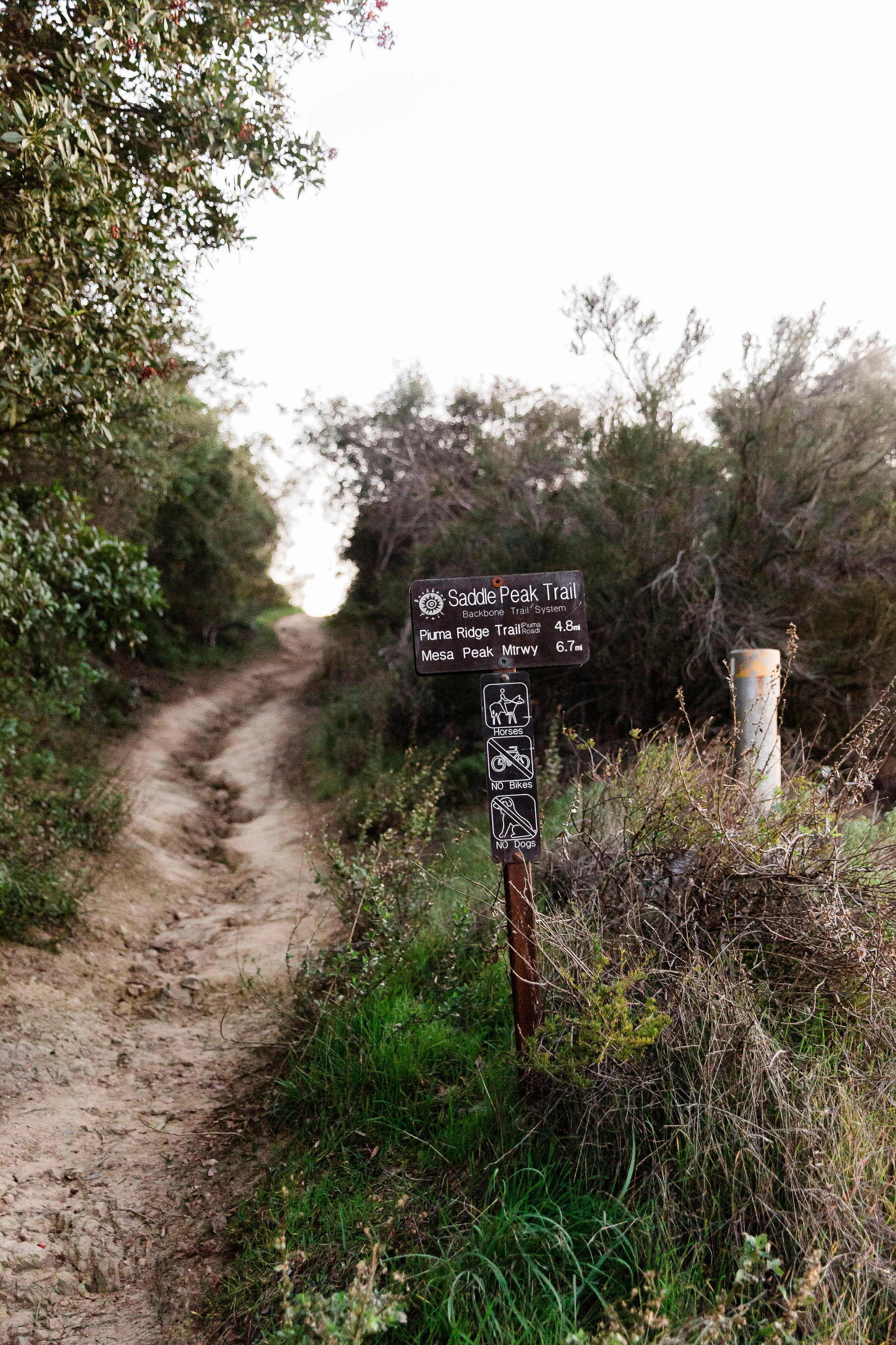MM_Saddle Peak Hike_Edited-3.jpg