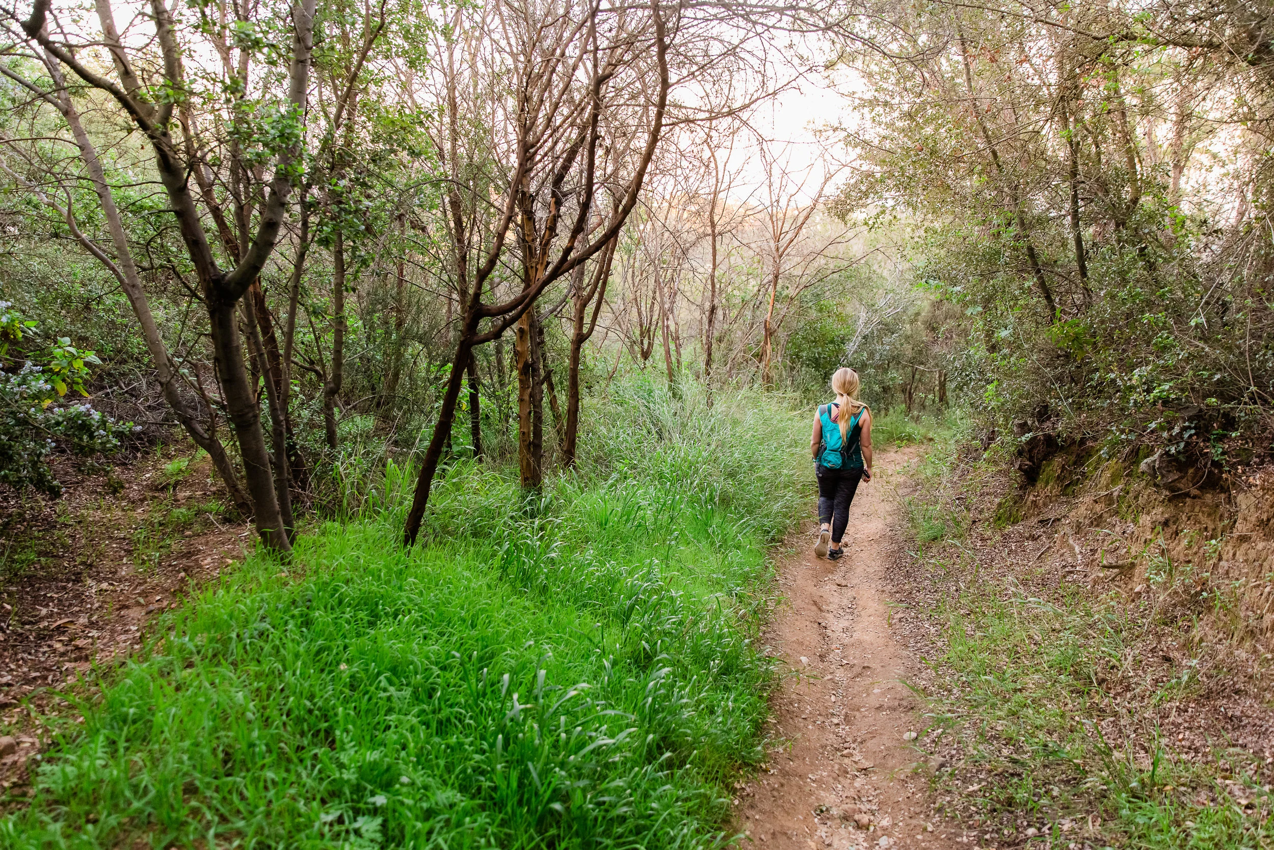 MM_Saddle Peak Hike_Edited-6.jpg