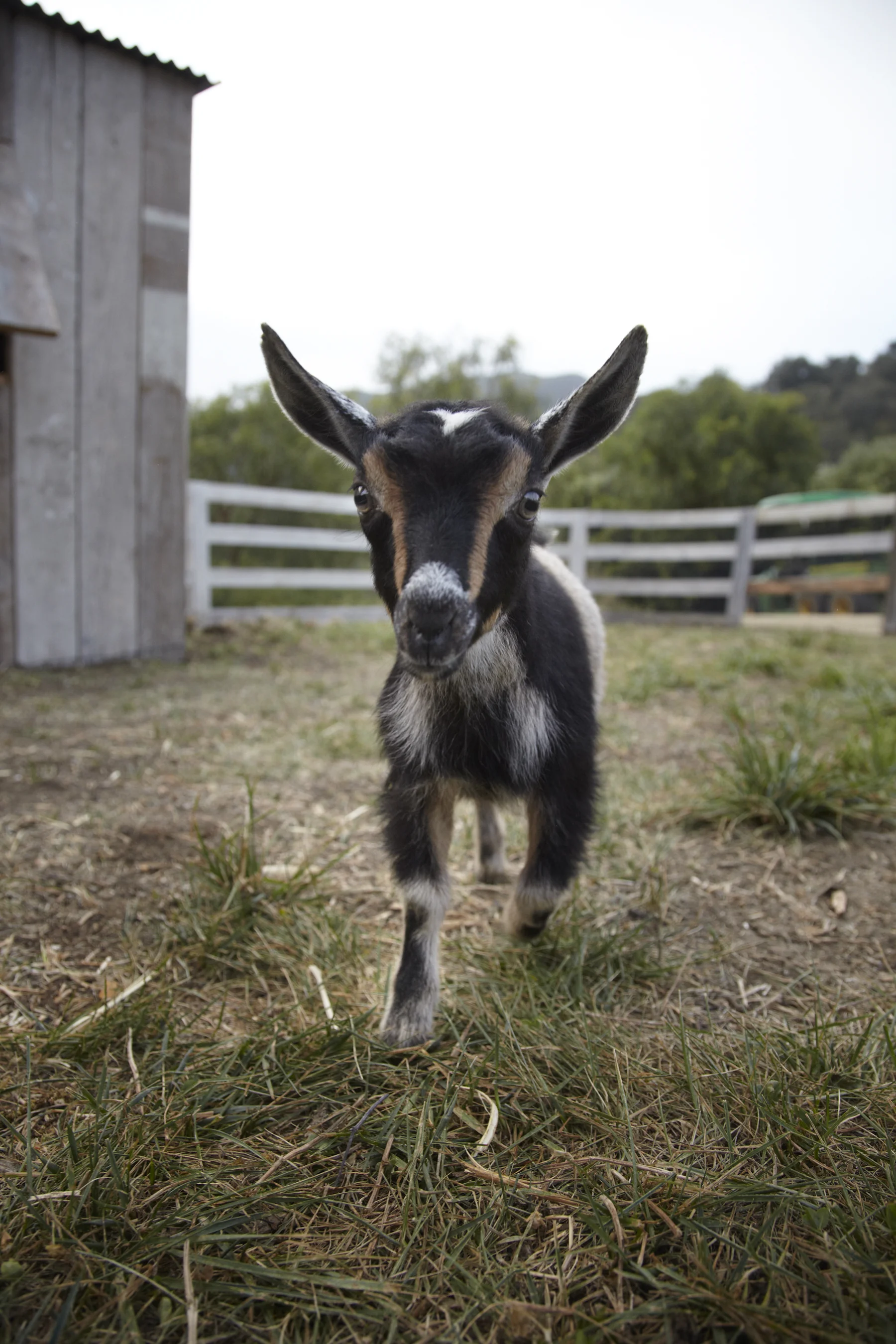 150420_TheRanch_scout_0008_lrg.jpg