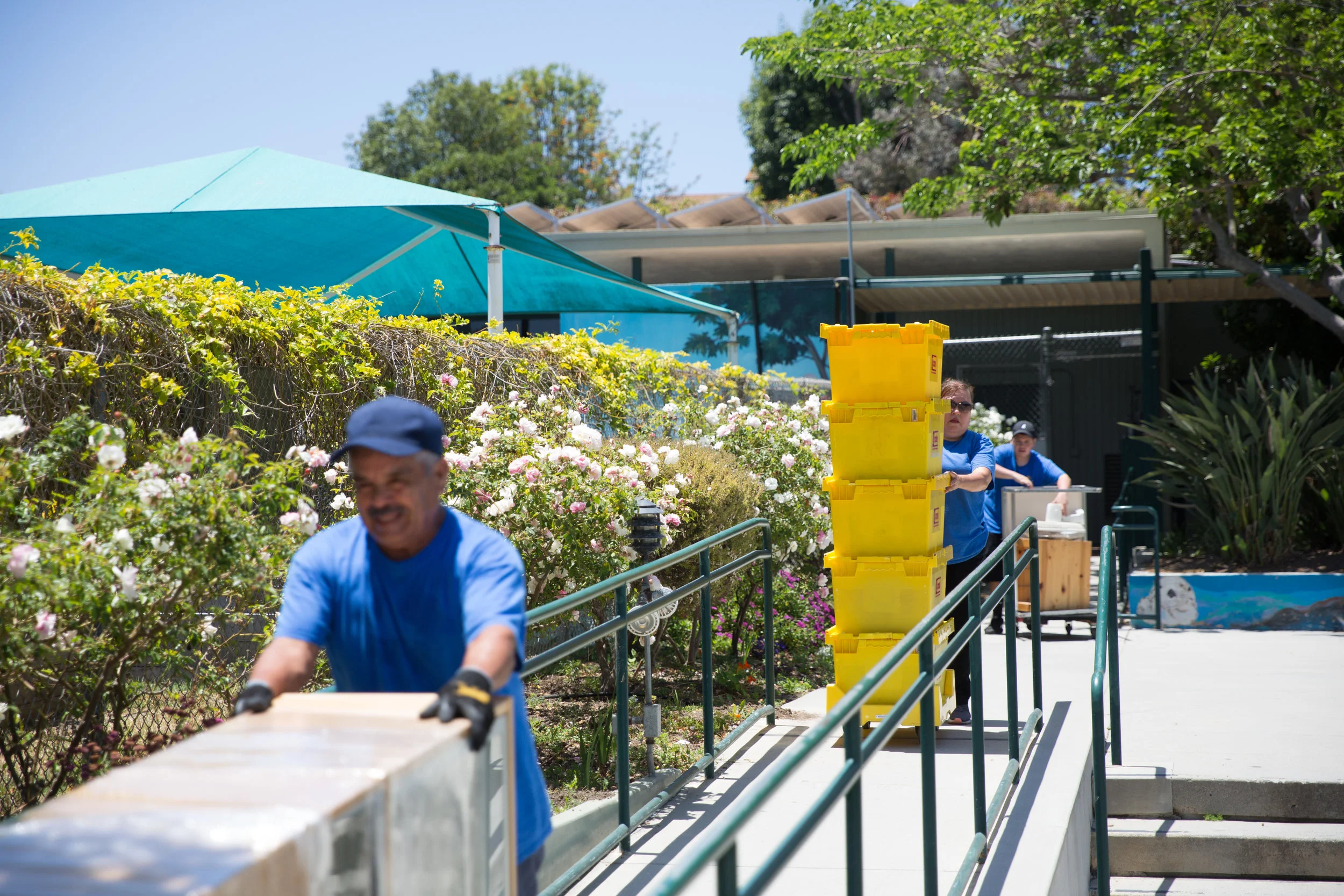 Point Dume Marine Science Elementary School undergoes planned renovations during summer 2018, part of a district-wide project that has brought cosmetic and moderate repairs to numerous SMMUSD campuses. Officials say the fixes will help support the planned merger in 2019.