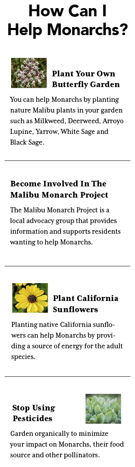 How can I help the Monarchs chart.png