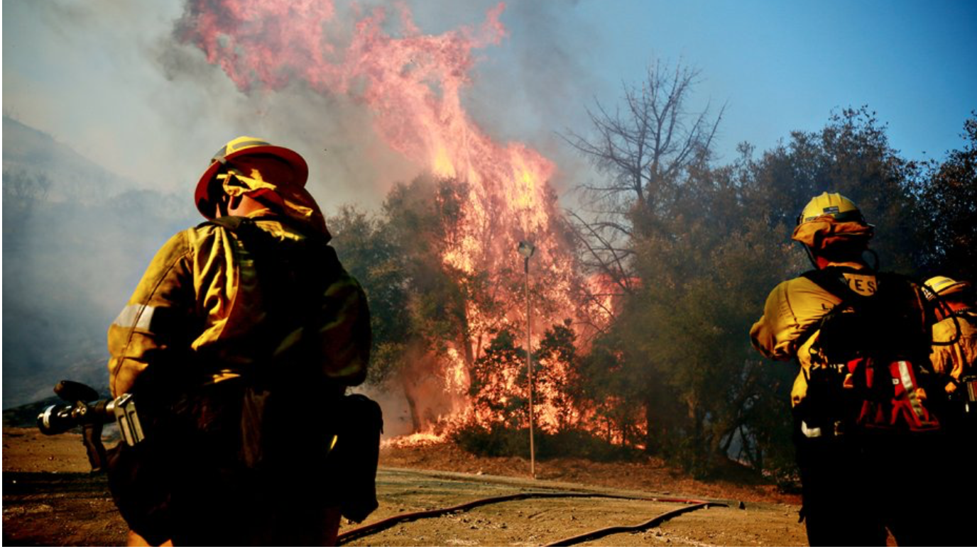 Image from Getty Images, Sandy Huffacker