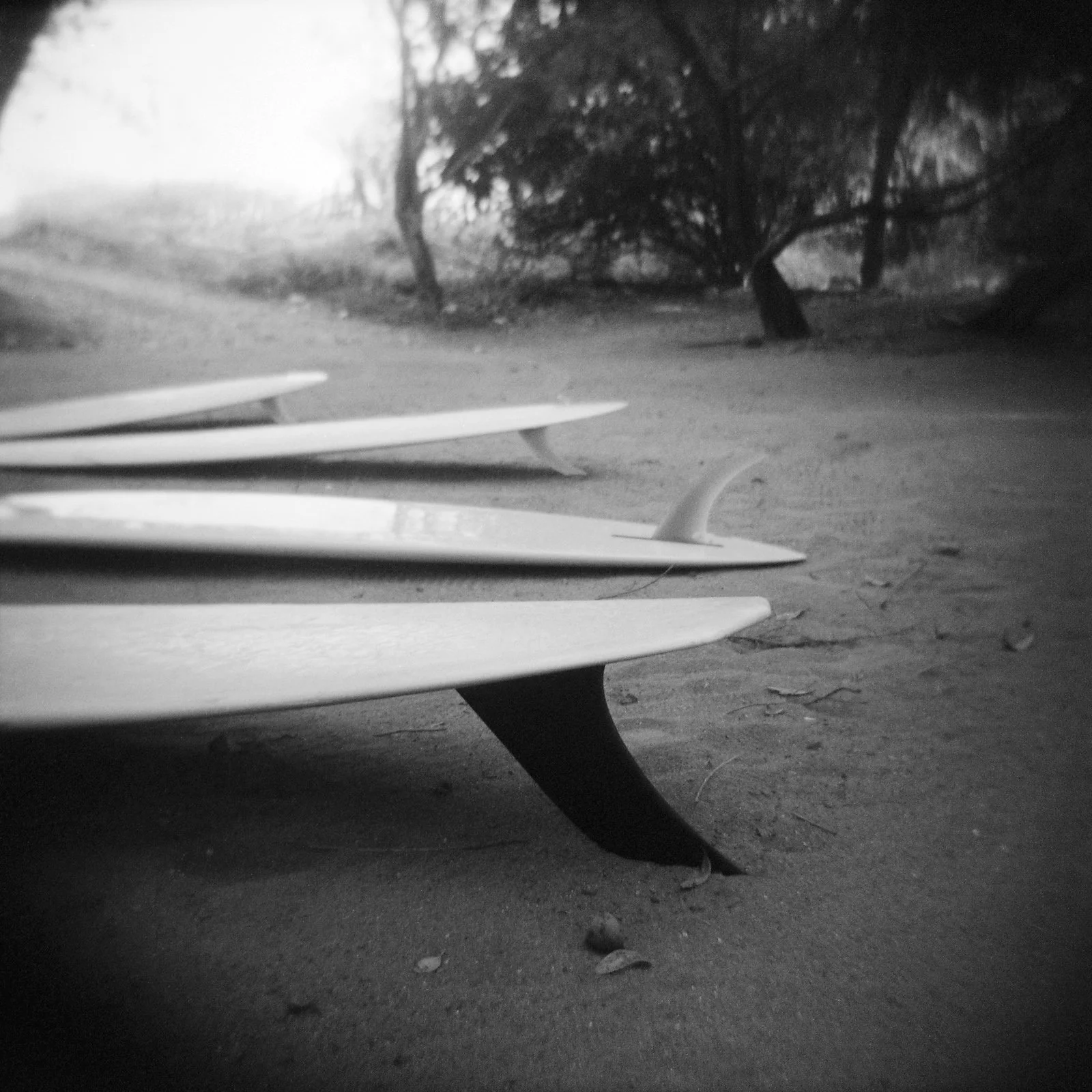 3 hulls and a log.jpg