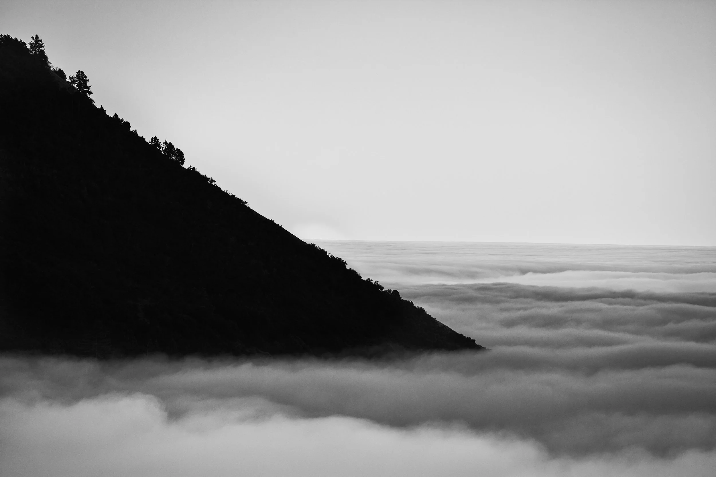 mill_creek_fog.jpg