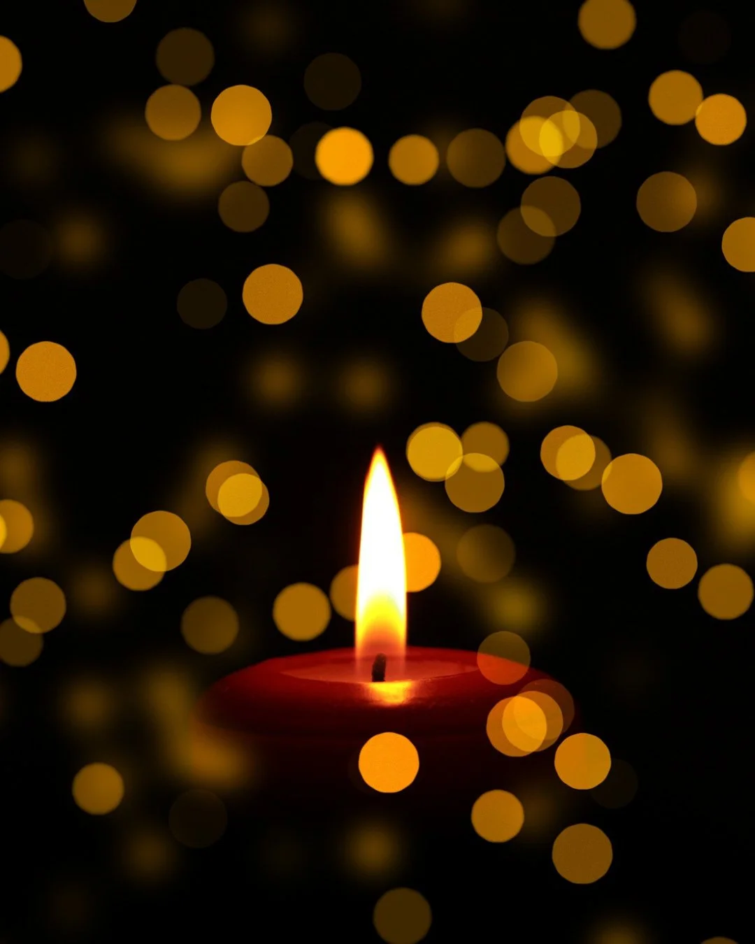 On this Winter Solstice&mdash;the longest night of the year&mdash;Holly reminded us this morning that darkness and hope often arrive together.

As we and those around us experience grief or sorrow, suffering or injustice, we remember: these are signs