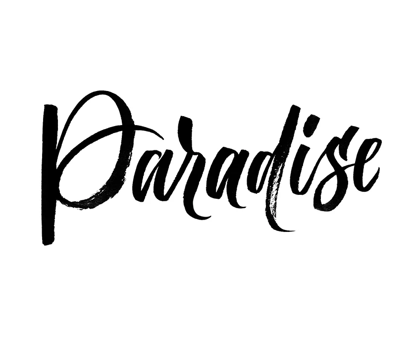 Paradise | 100 Days of Lettering | By Type and Graphics Lab | typeandgraphicslab.com