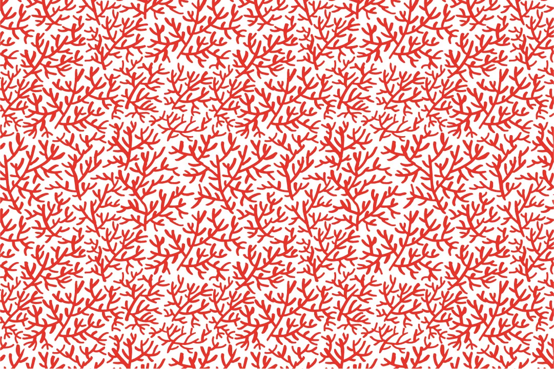 Summer Collection | Surface pattern design by Type and Graphics Lab | Available for sale | typeandgraphicslab.com