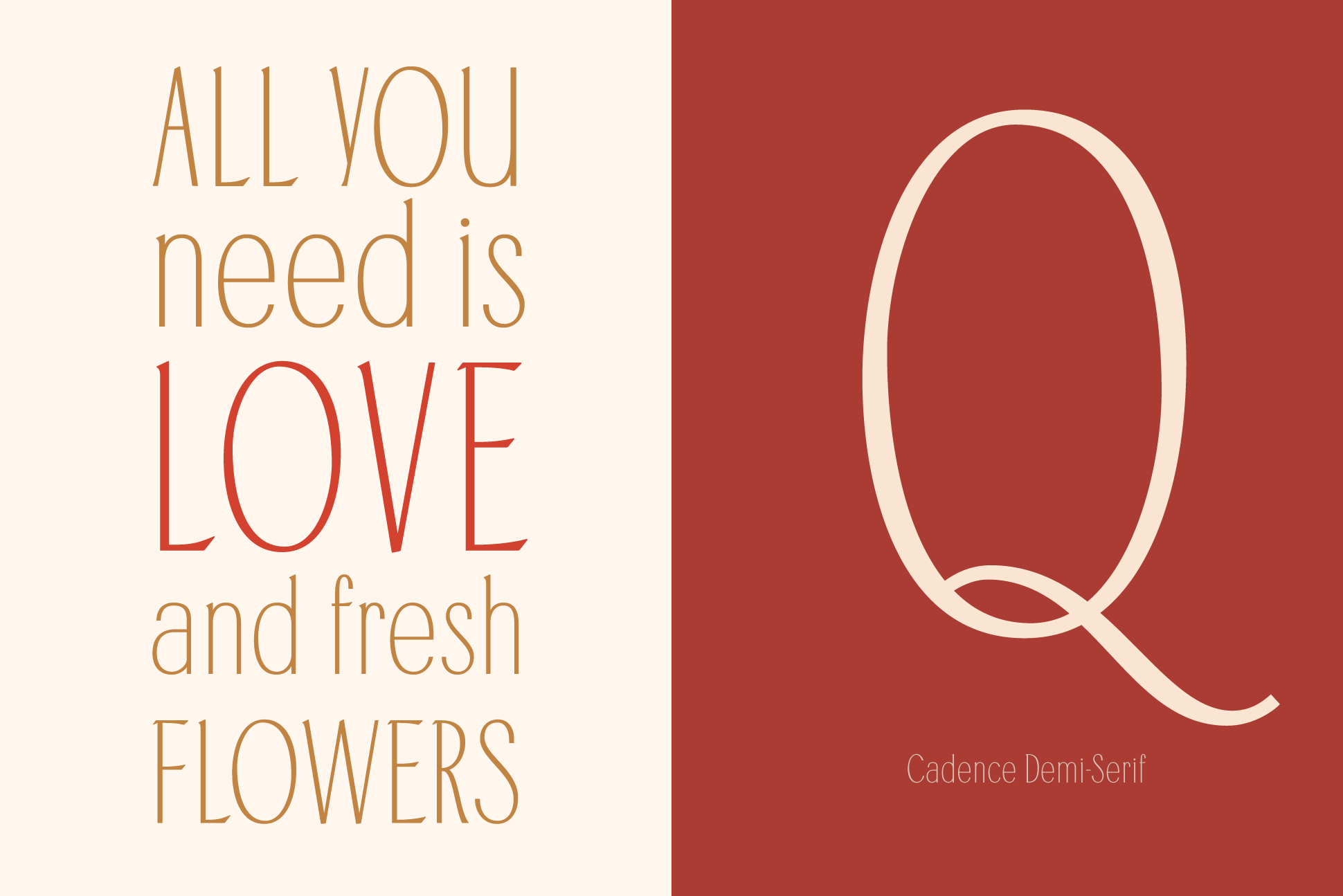 15_cadence_demi-serif-font_typeandgraphicsstudio_preview21.png