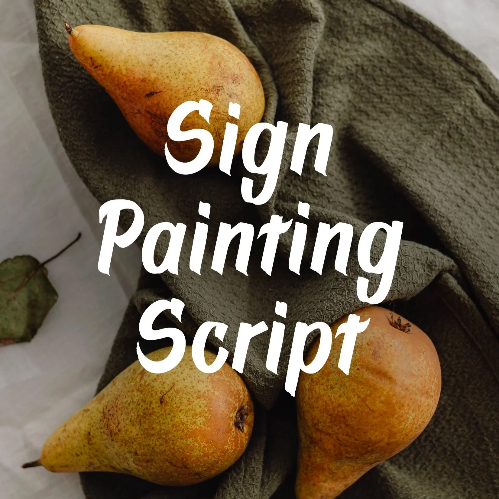 sign_painting_script_font_typeandgraphicsstudio_-12.jpg