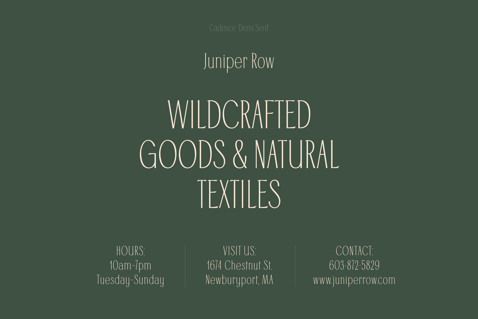 5_cadence_demi-serif-font_typeandgraphicsstudio_preview23.png