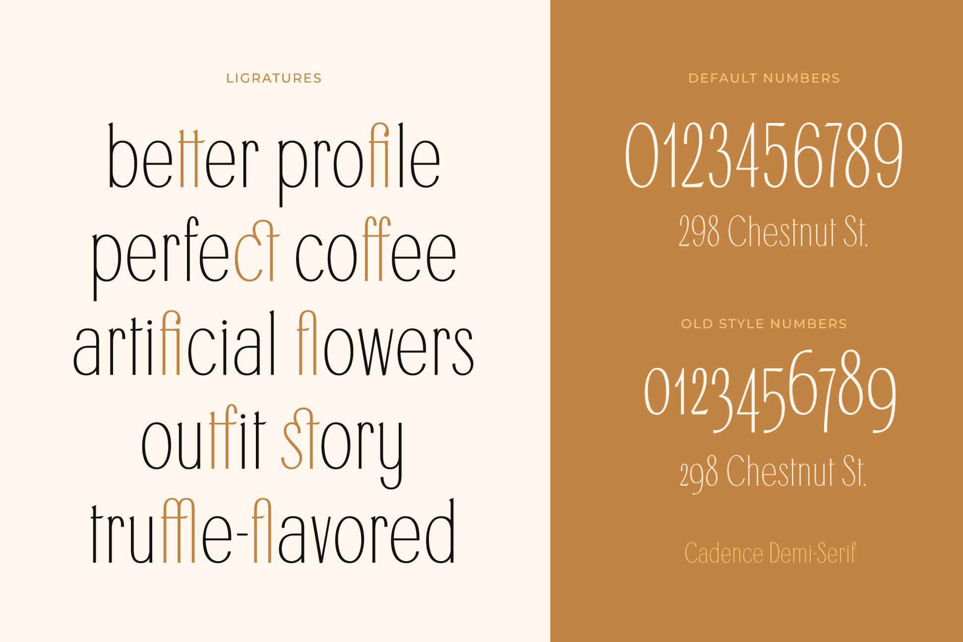 24_cadence_demi-serif-font_typeandgraphicsstudio_preview19.png