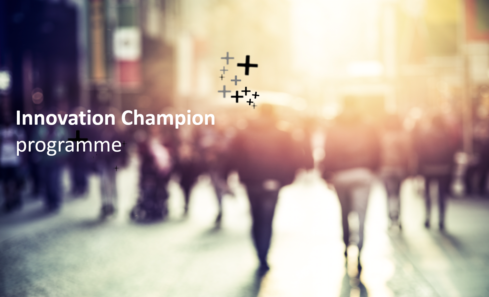 course title banner.png