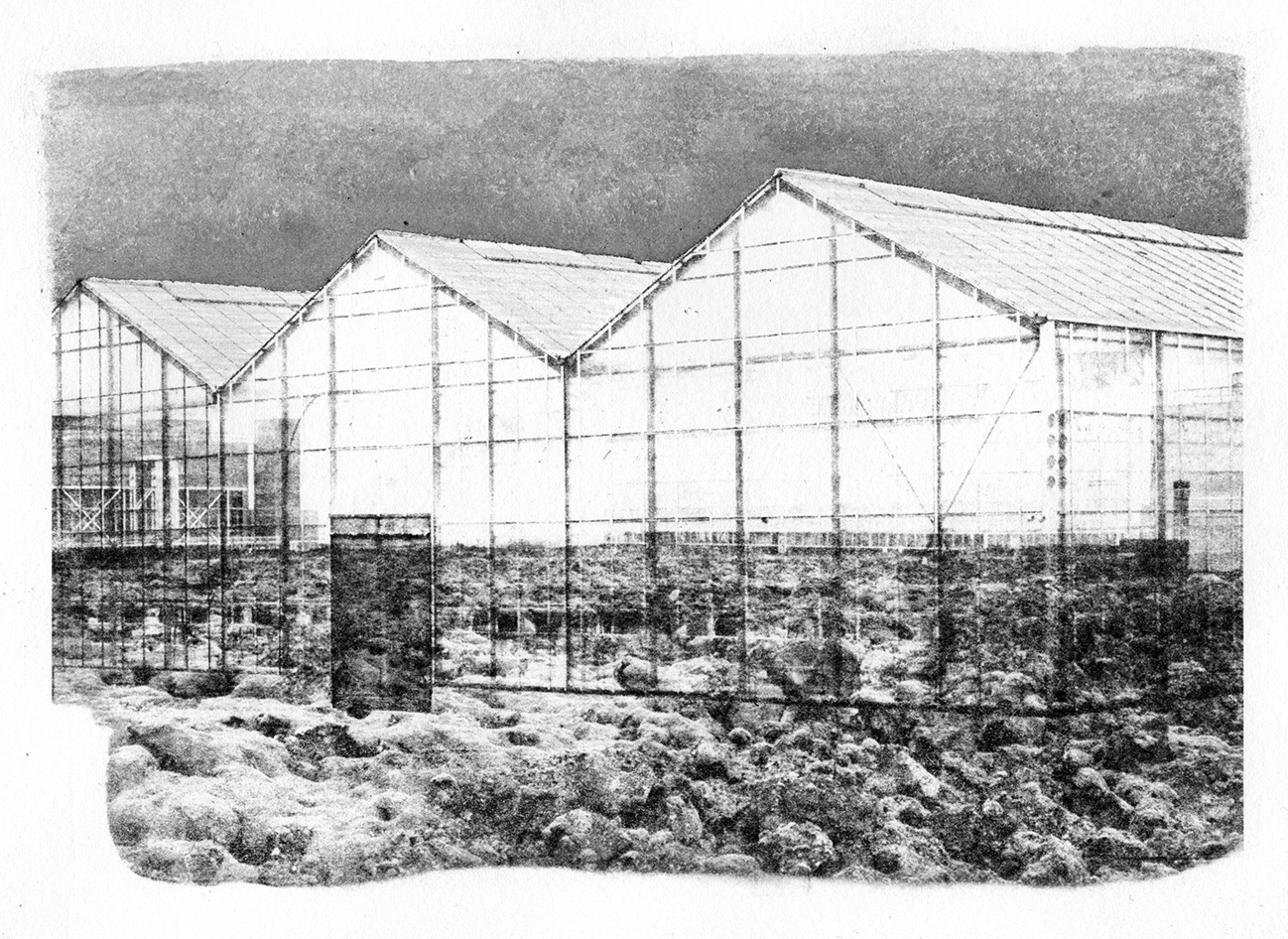 postcard 5.jpg