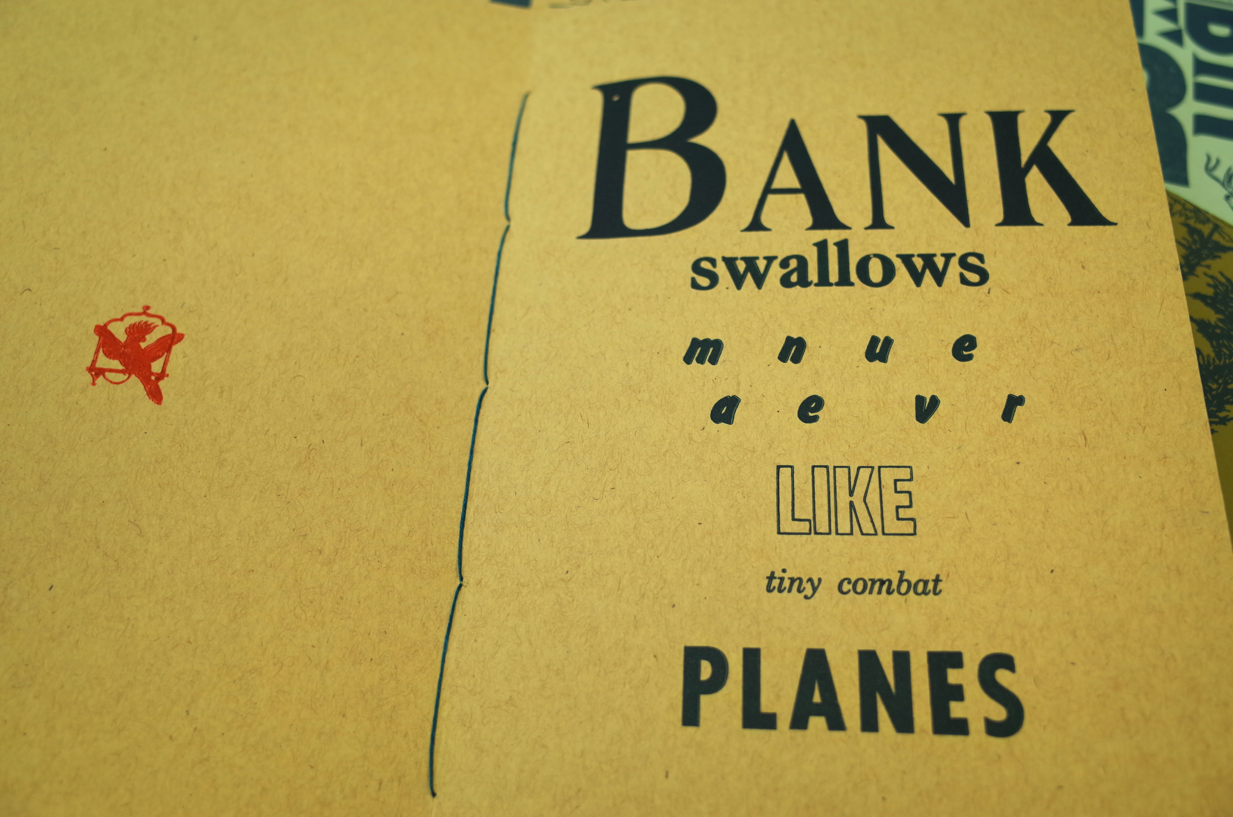 pamp_bankswallows_high_res.jpg