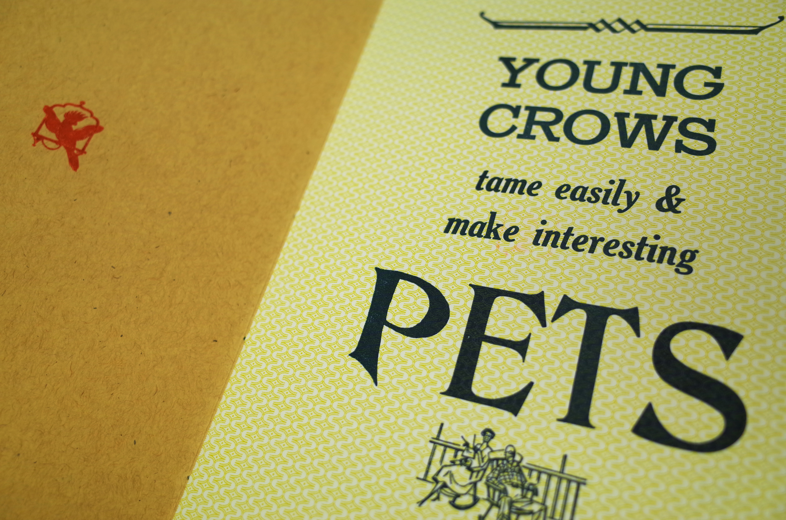 pamp_crows_high_res.jpg