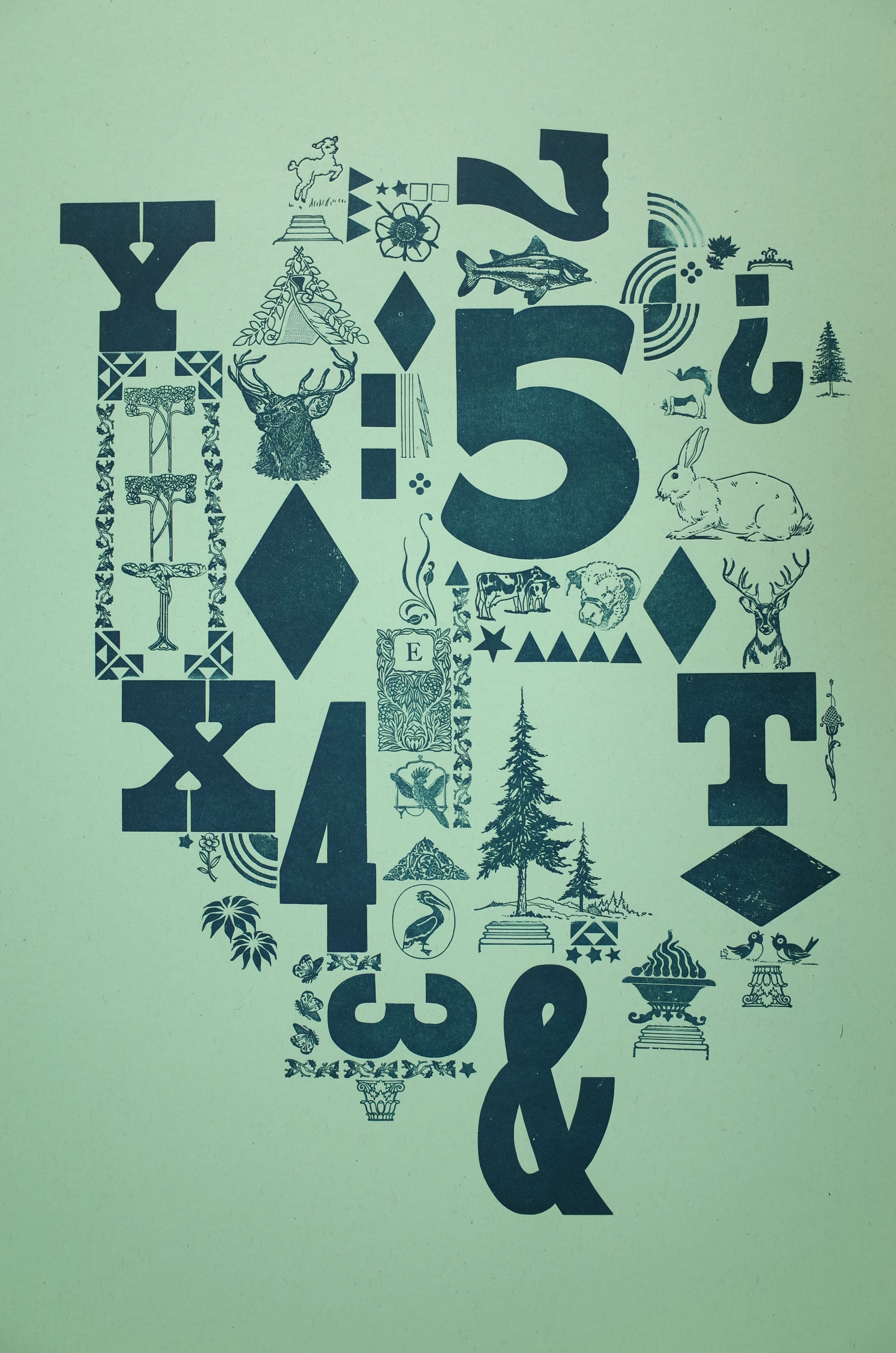 Fauna & Flora, 2015