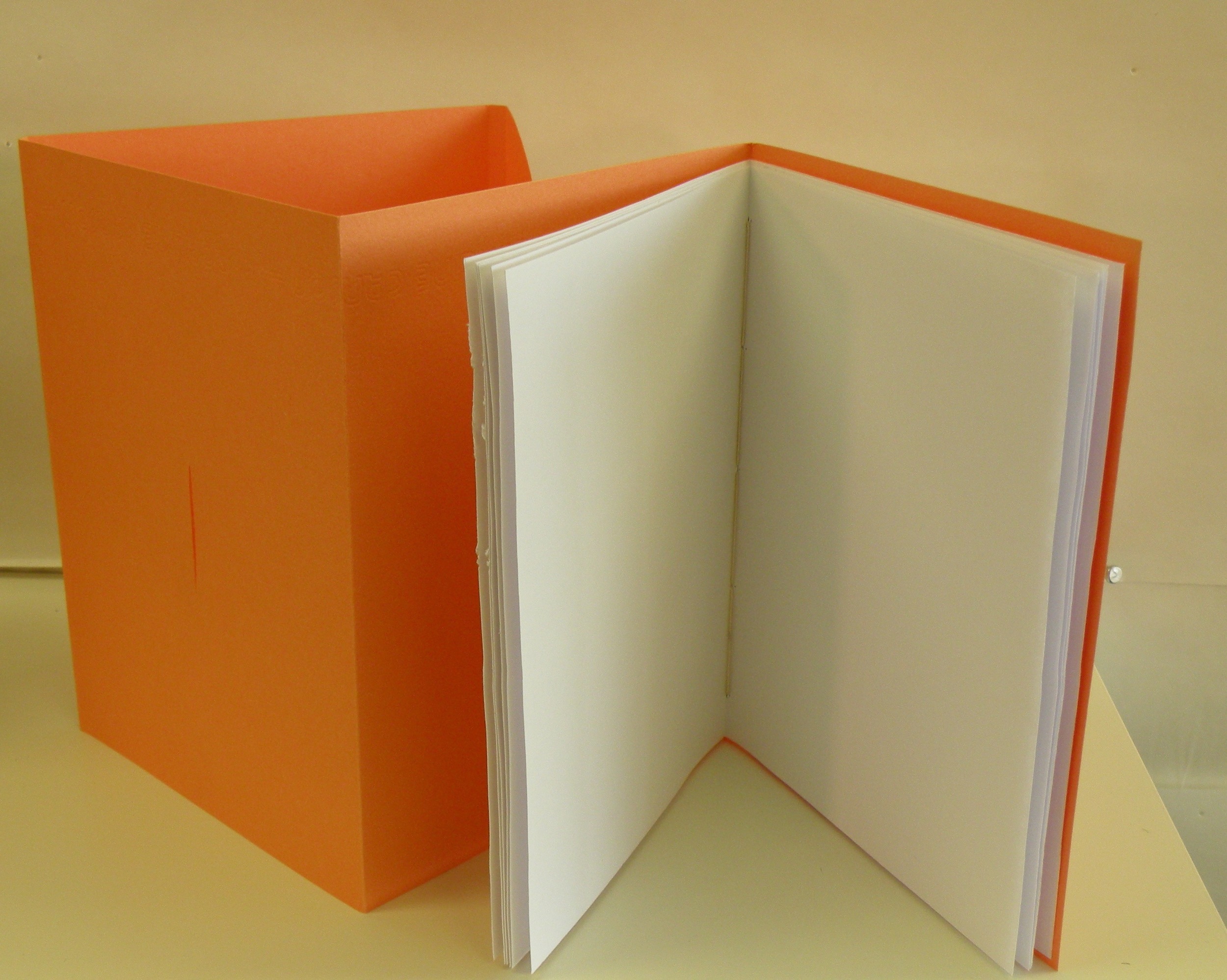 The Artist's Book Student Gallery - 2 of 17.jpg