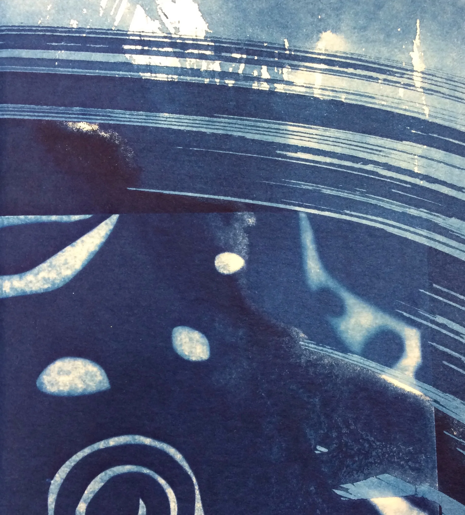 Detail of the cyanotype cover