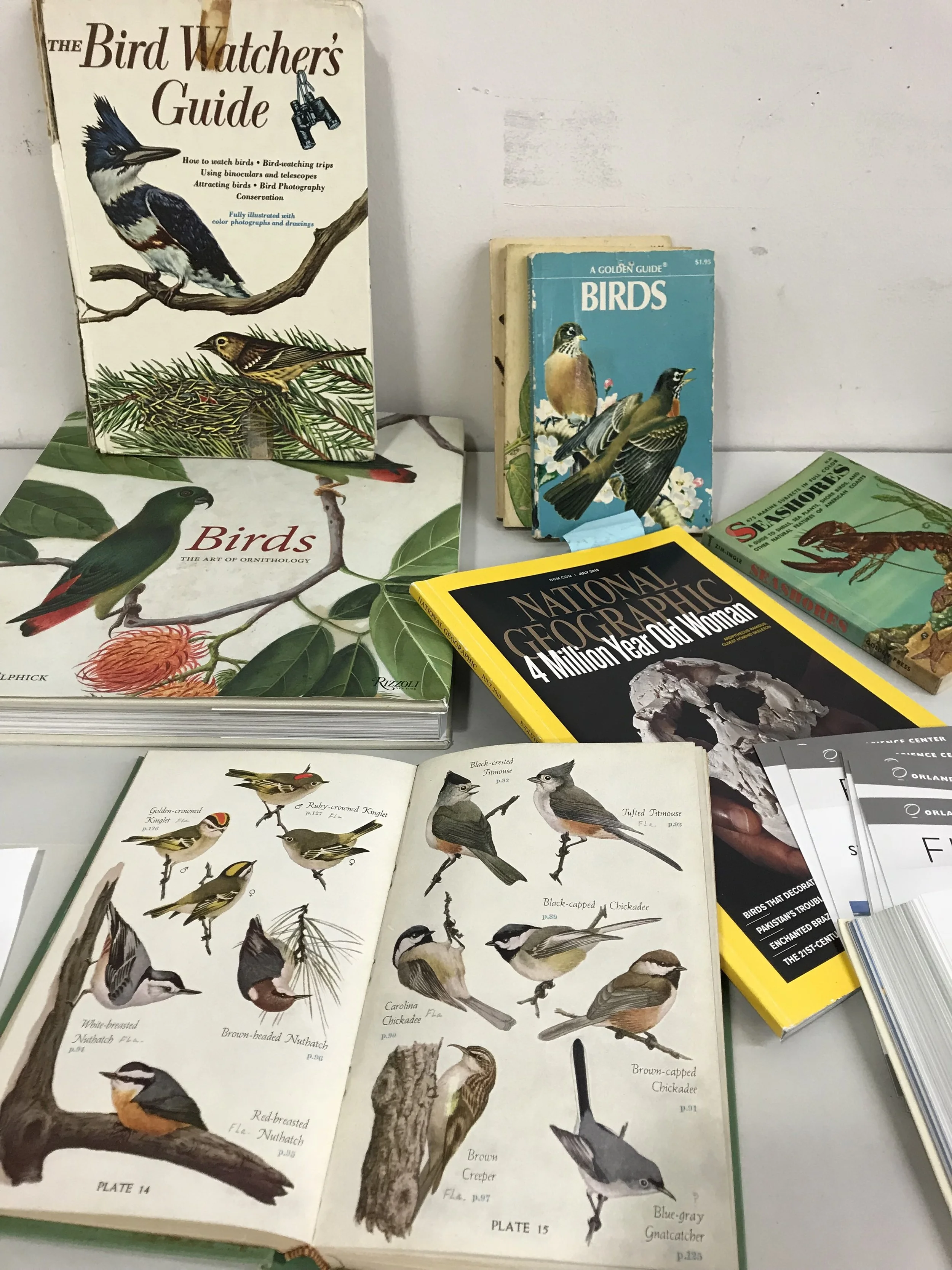 An assortment of field guides I have collected since 2015. 
