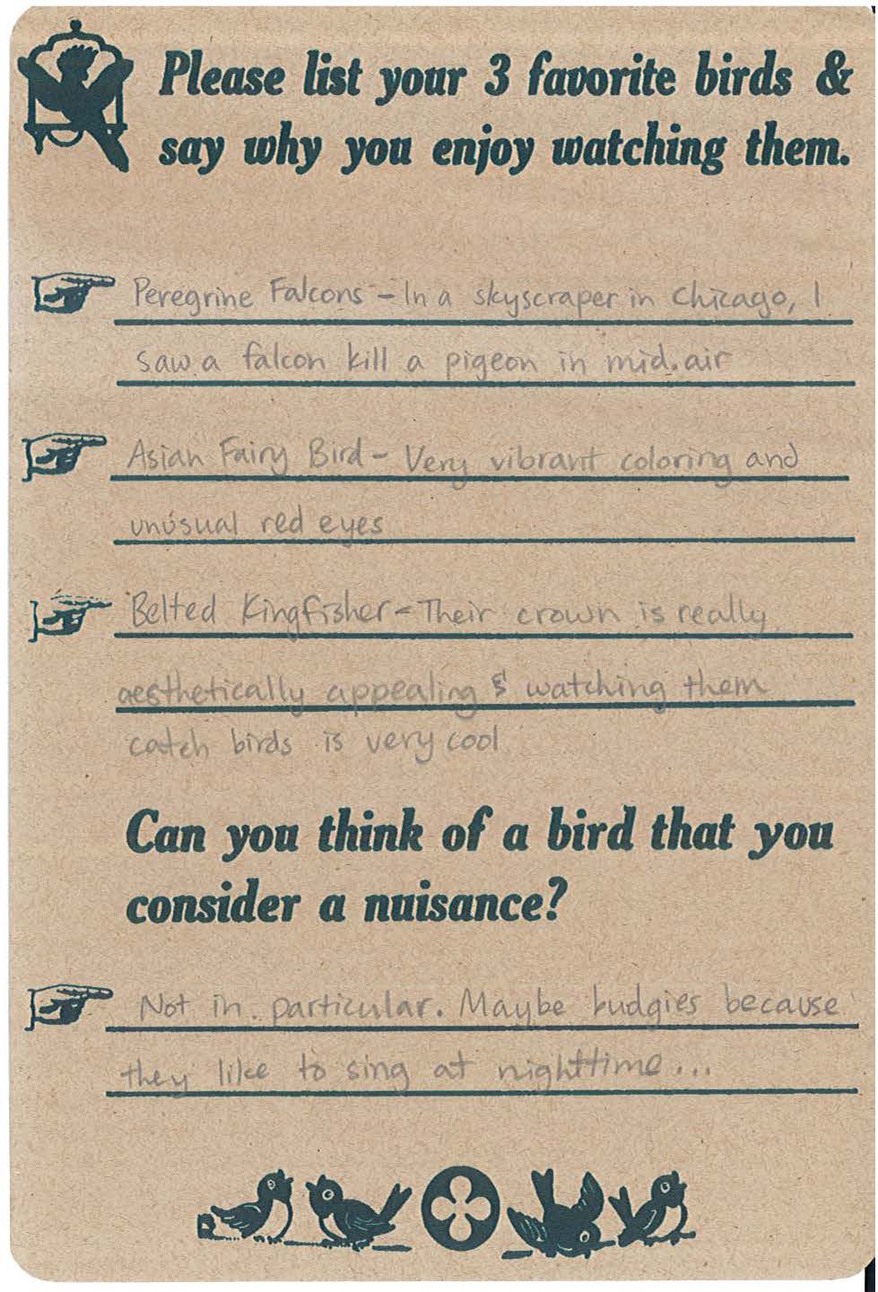 Birds 3.jpg