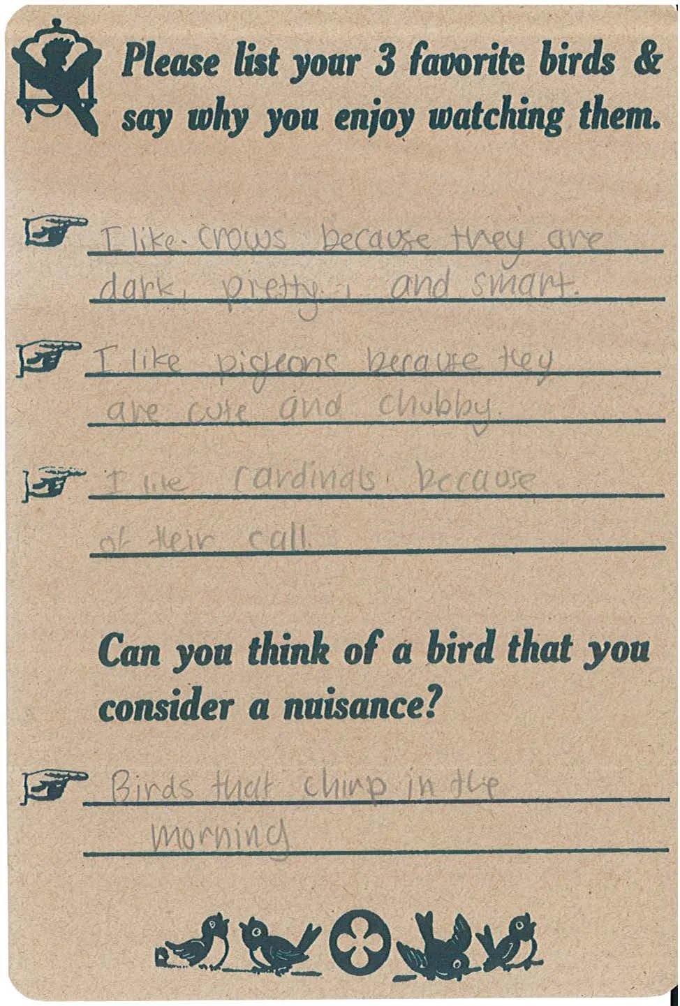 Birds 4.jpg
