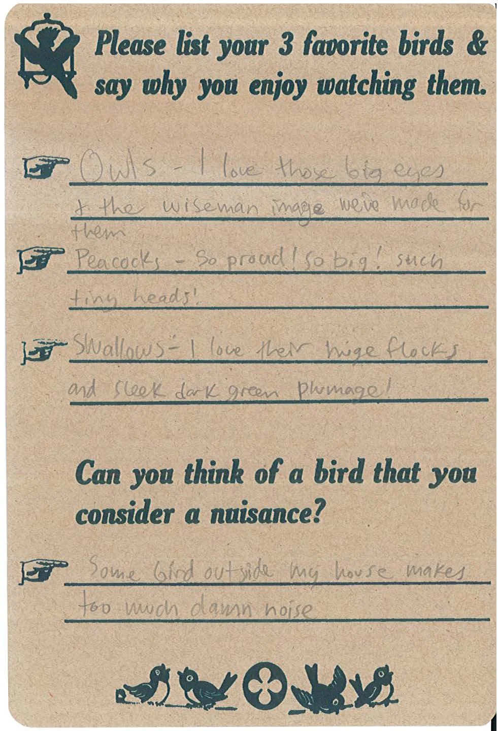 Birds 10.jpg
