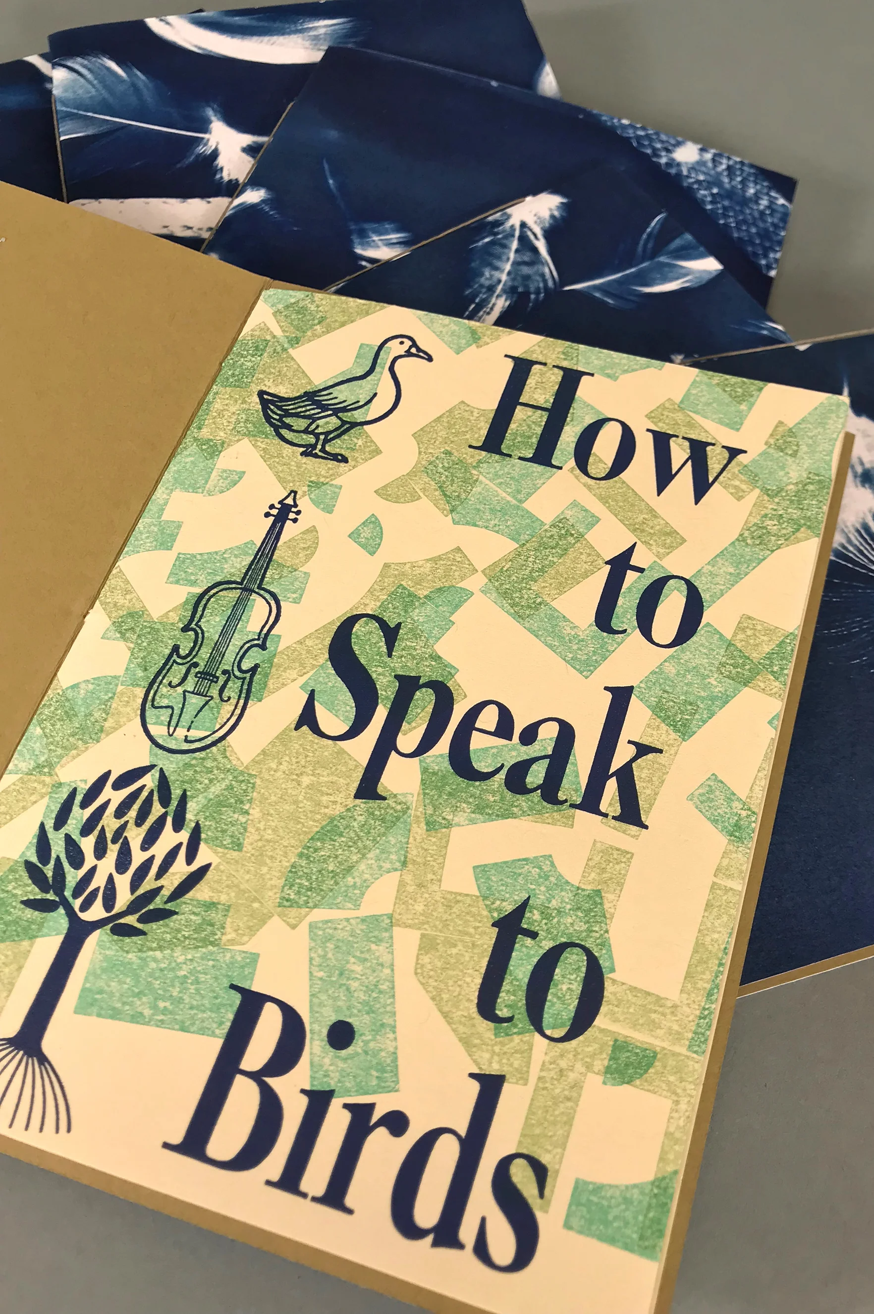 How to Speak to Birds