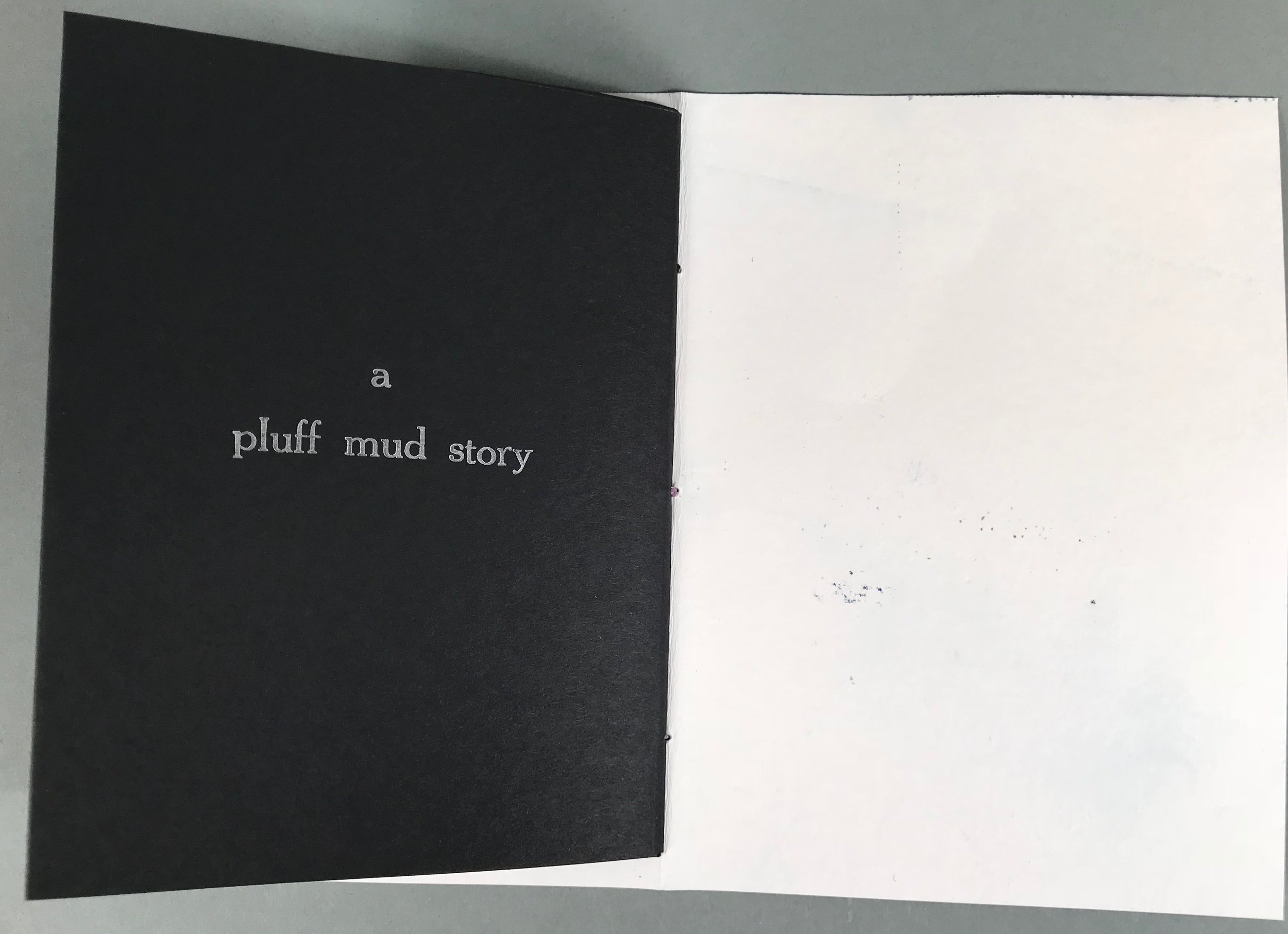 Artist's Book - 14 of 29.jpg