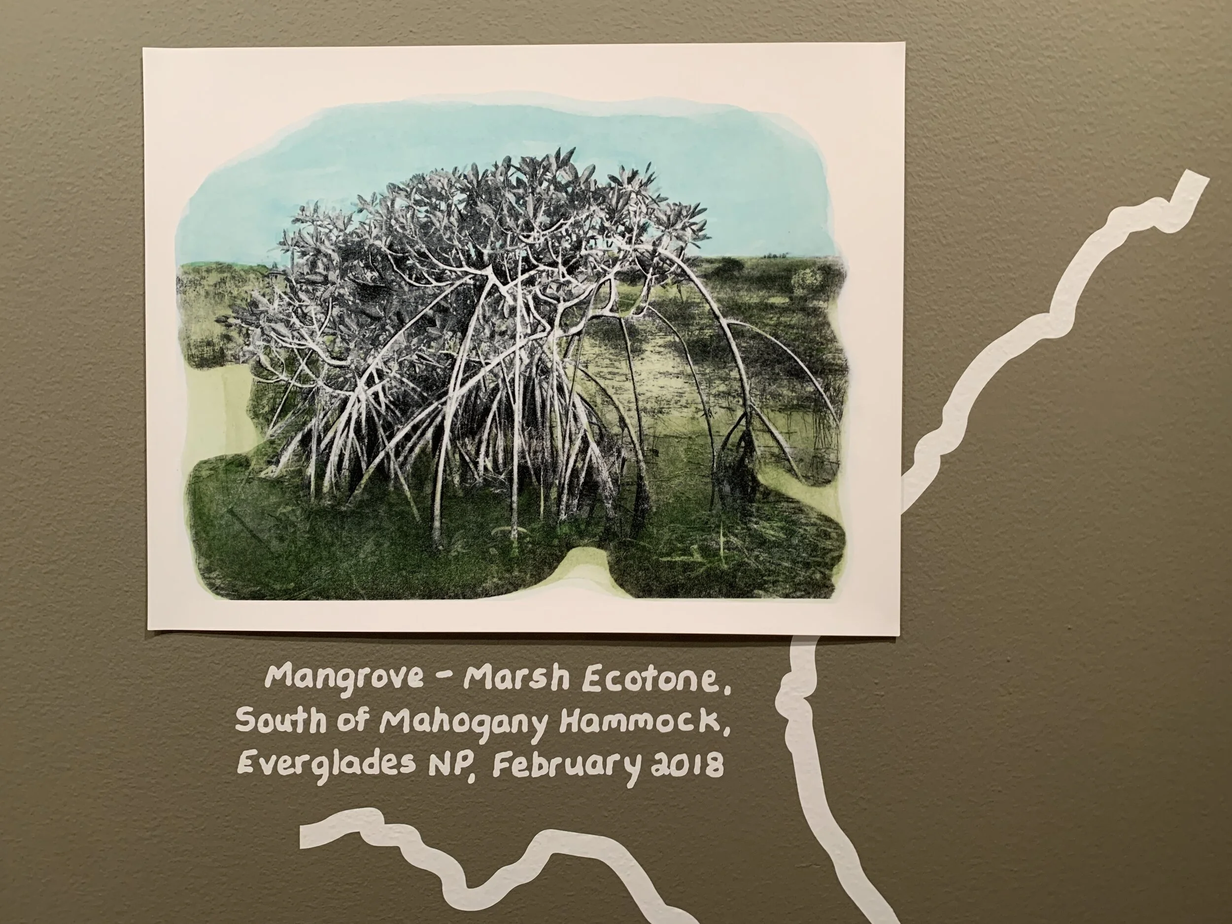 simmonslineseverglades