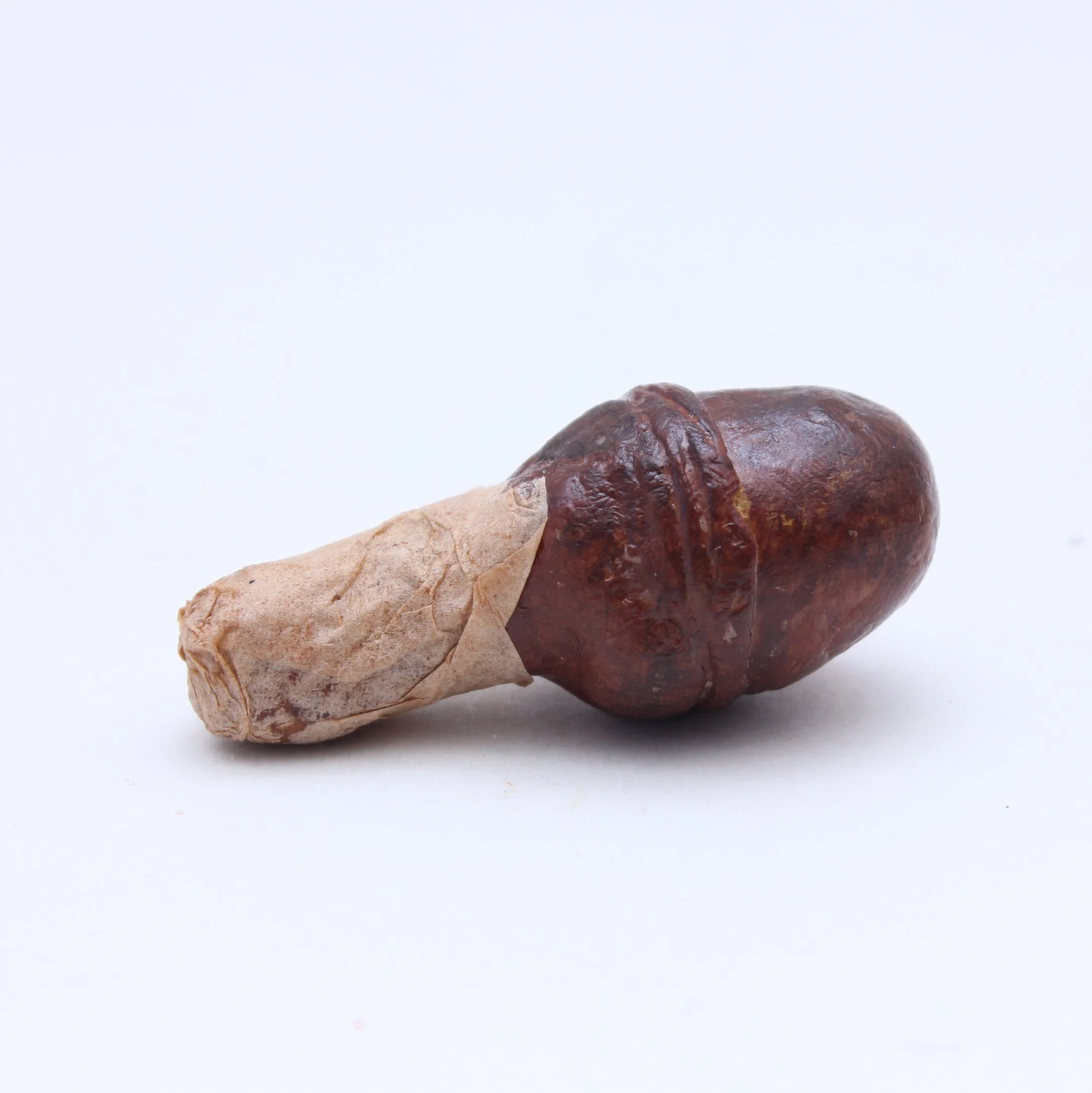 Jumbo Turkey Leg.JPG