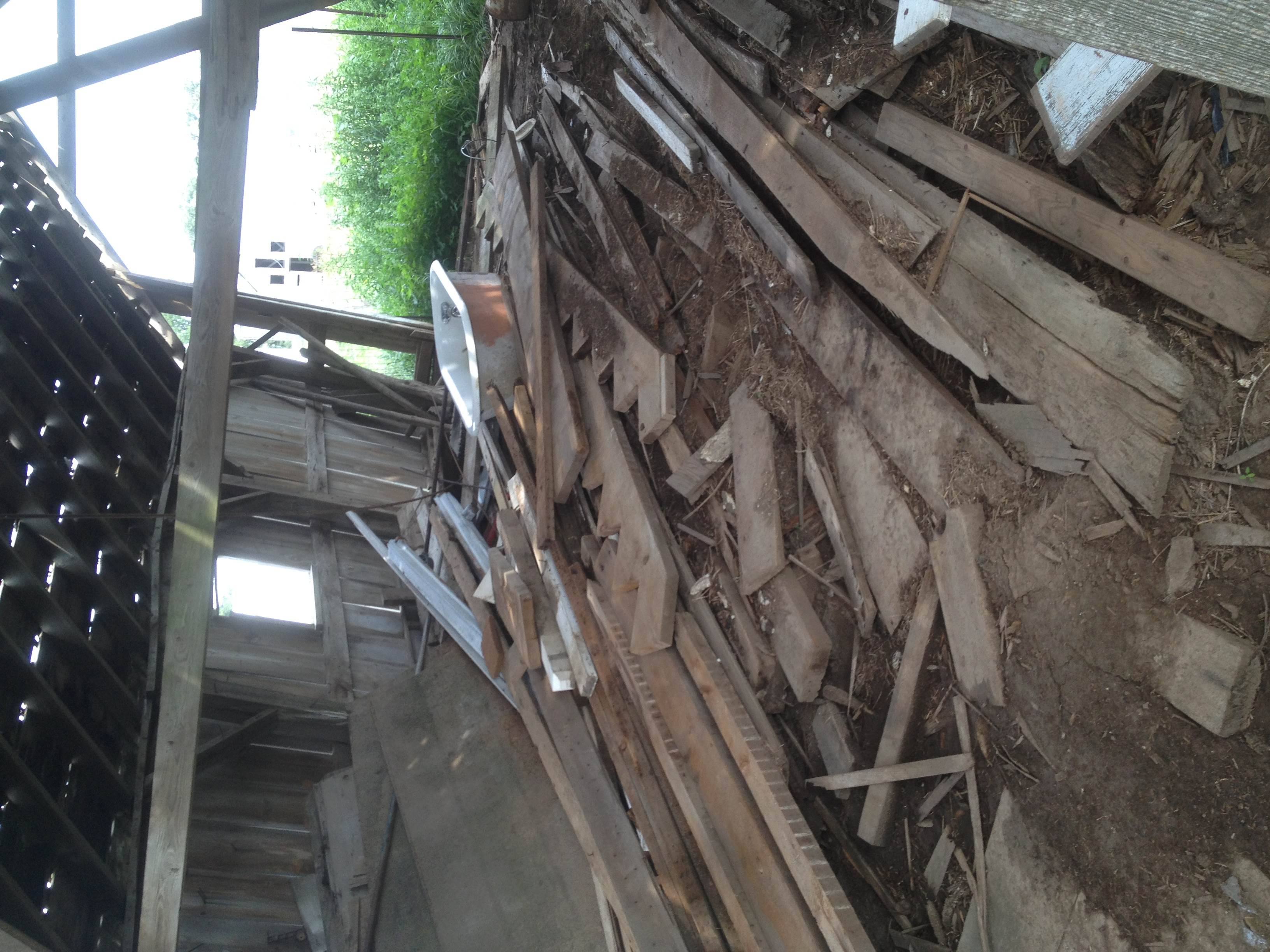 photo3.jpg
