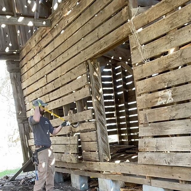 We went old school Sunday and stripped off the 1x6&rsquo;s from this corn crib. Thanks @rachelannlindsey and @mathyouvollmer for all the help. 
#barnwoodtrays #barnwoodstore  #reclaimed #oldbarns