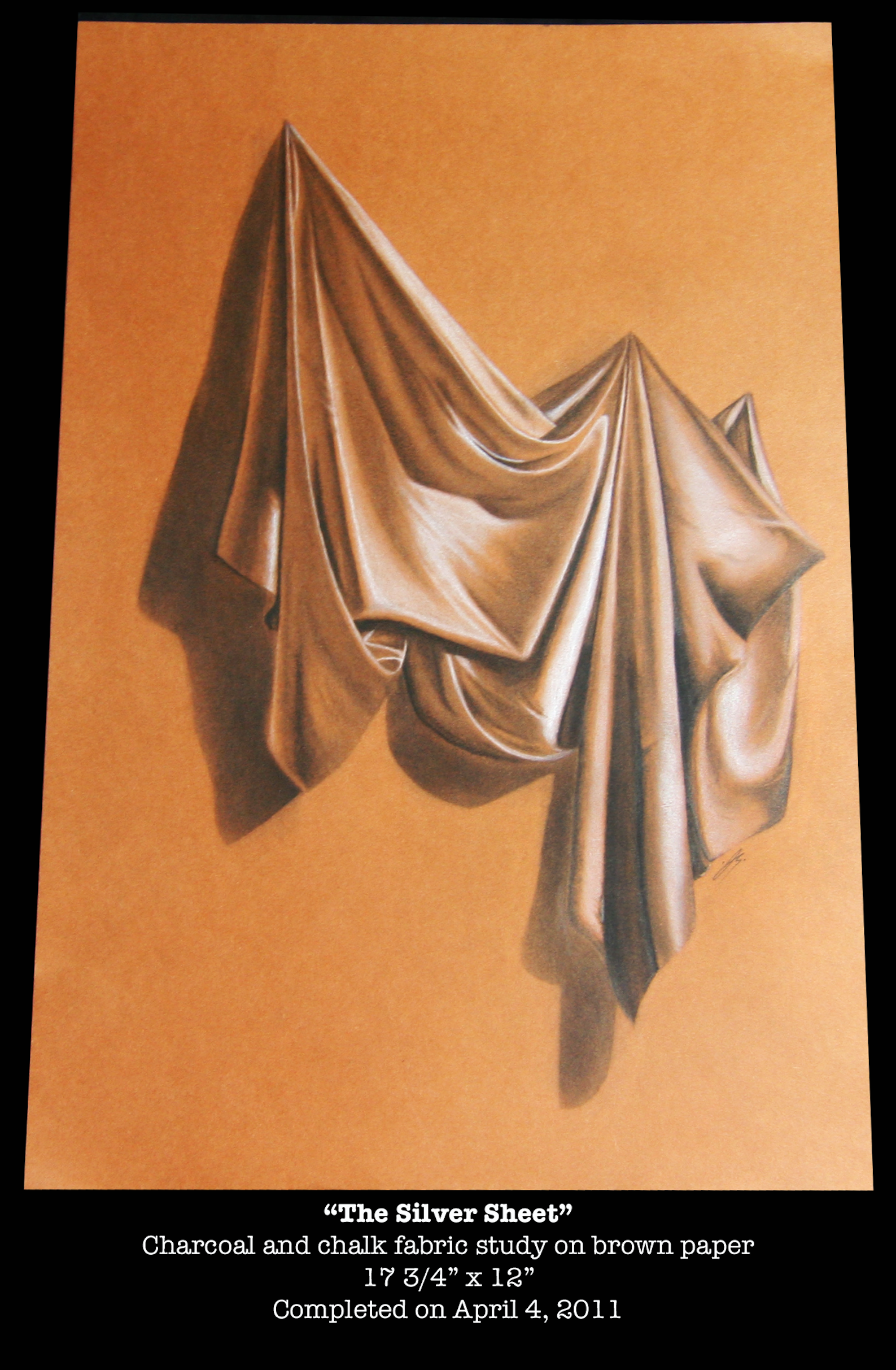 5. The Silver Sheet.png