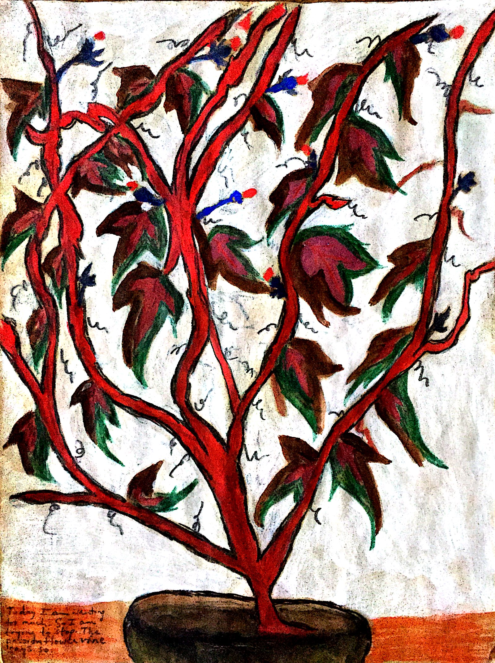 Passionflower Drawing by Steph Zabel