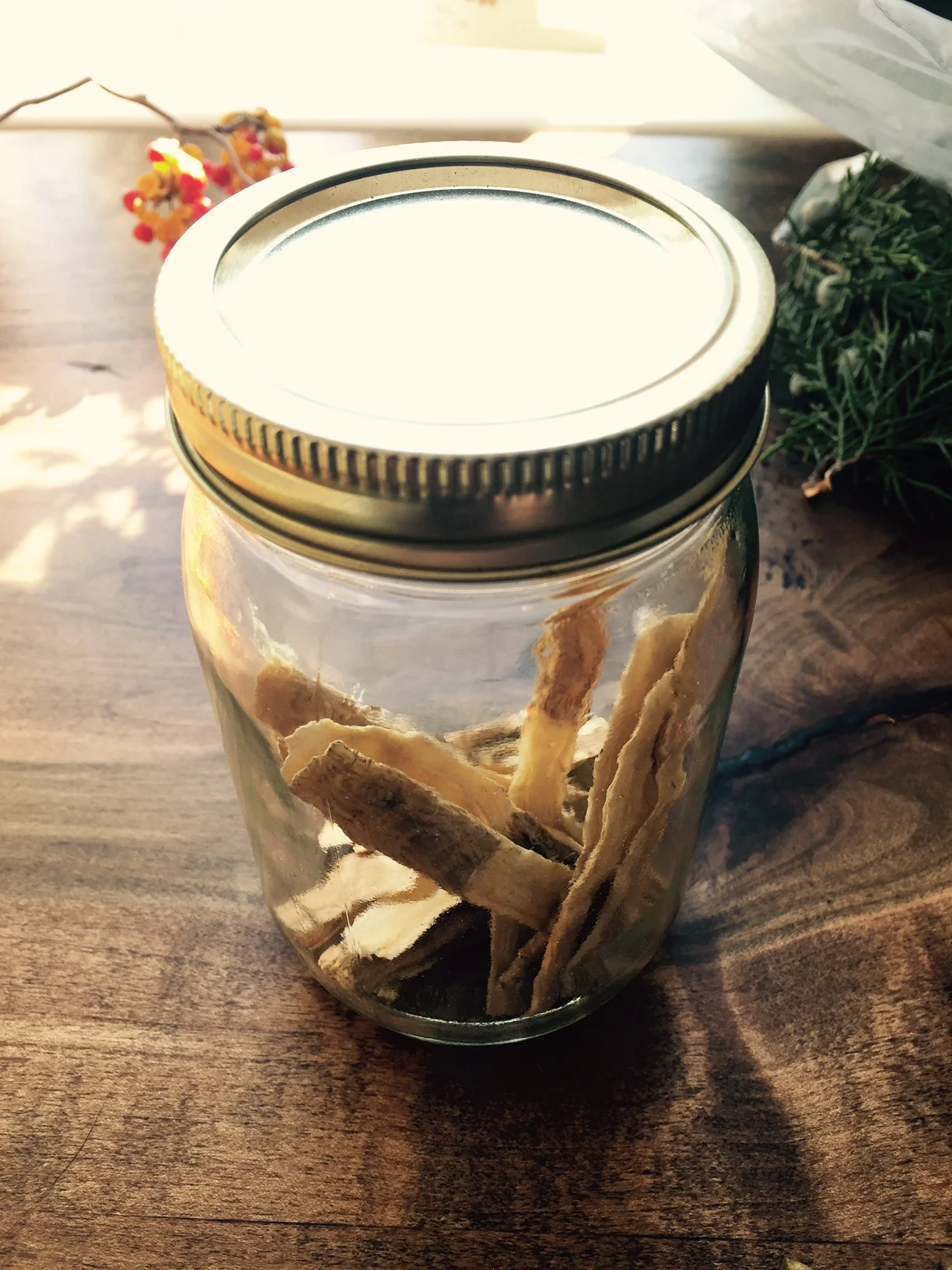 Astragalus Root2_SZ.jpg
