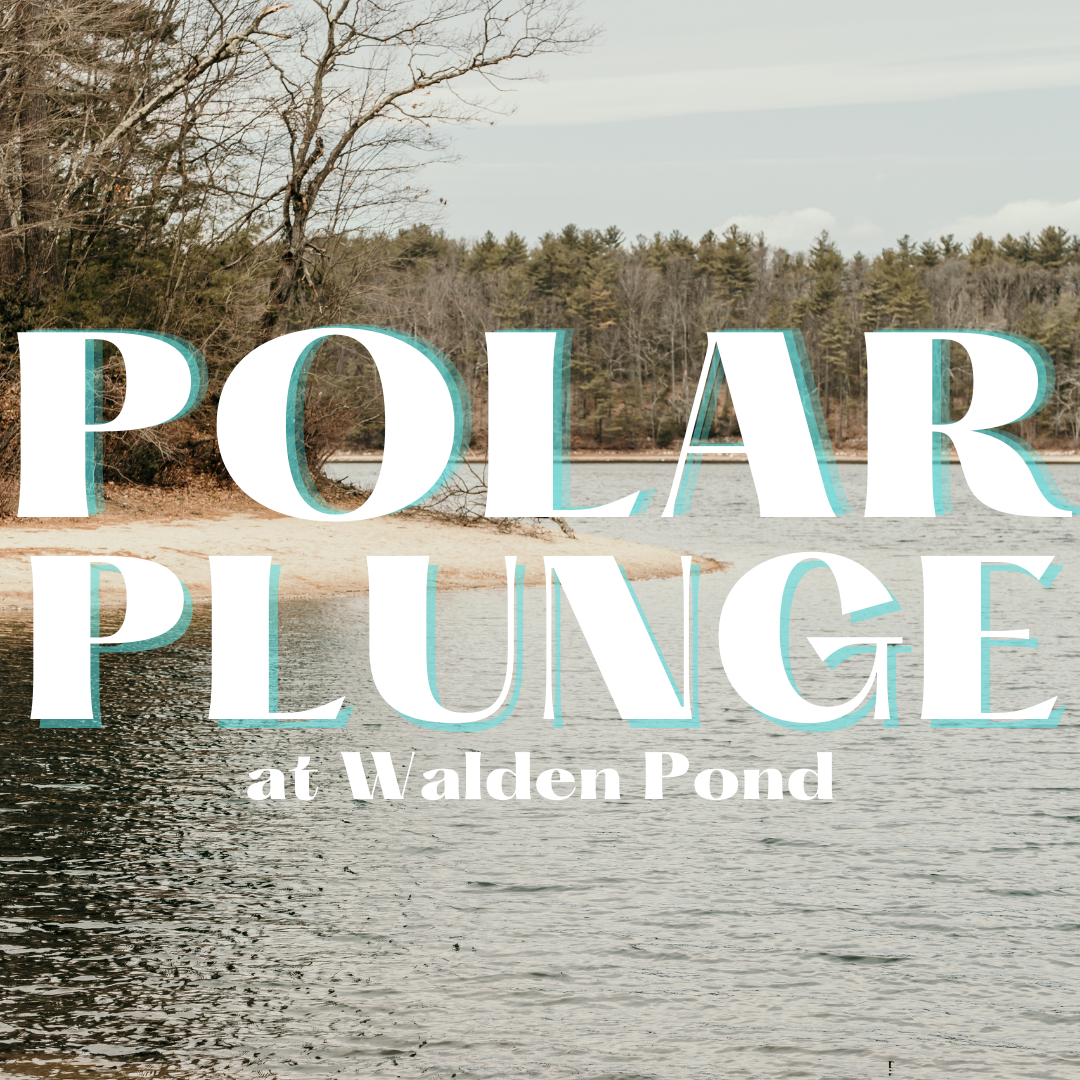 Polar Plunge at Walden Pond
