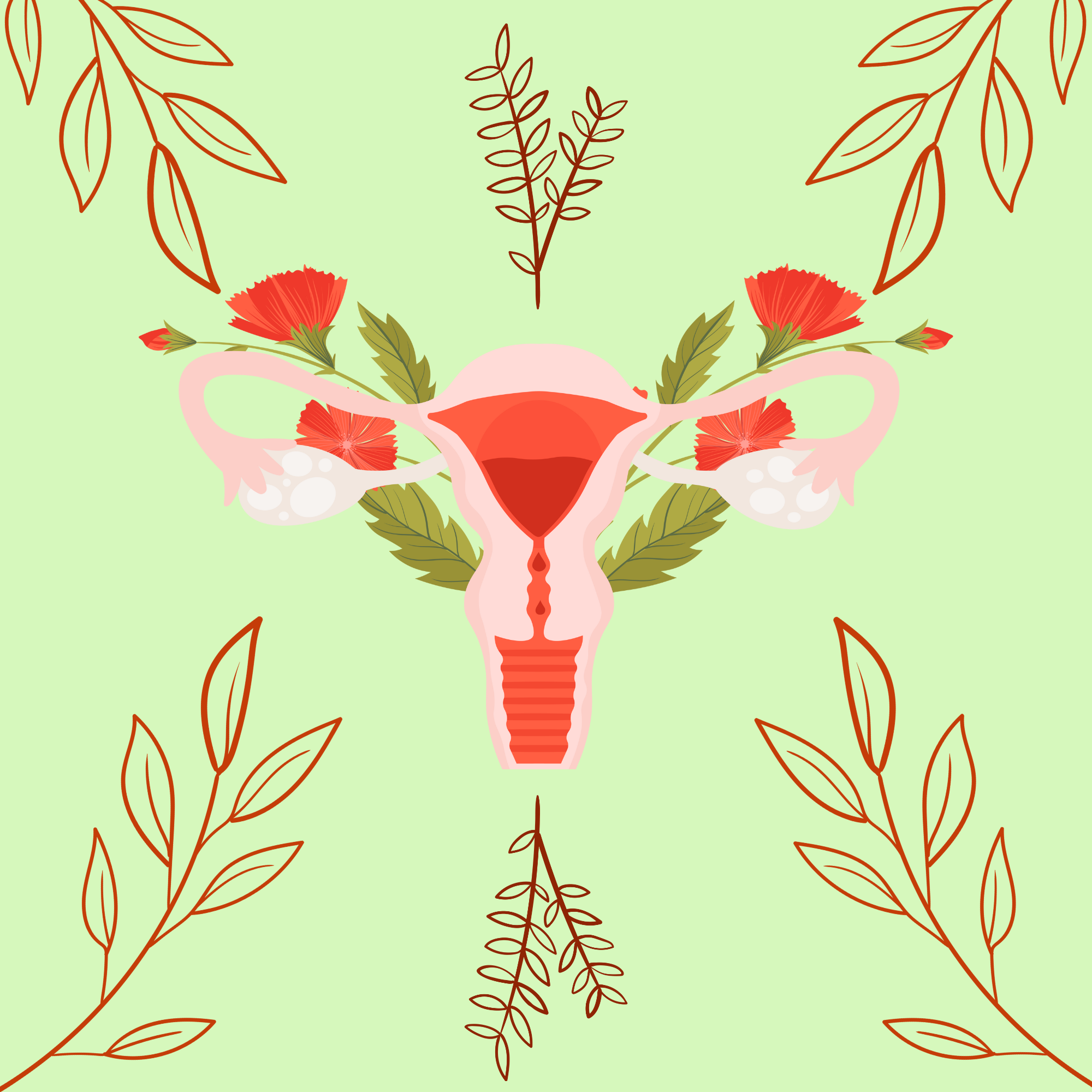 How to Build Your Herbal Blend for Your Cycle with Denise Rodriguez