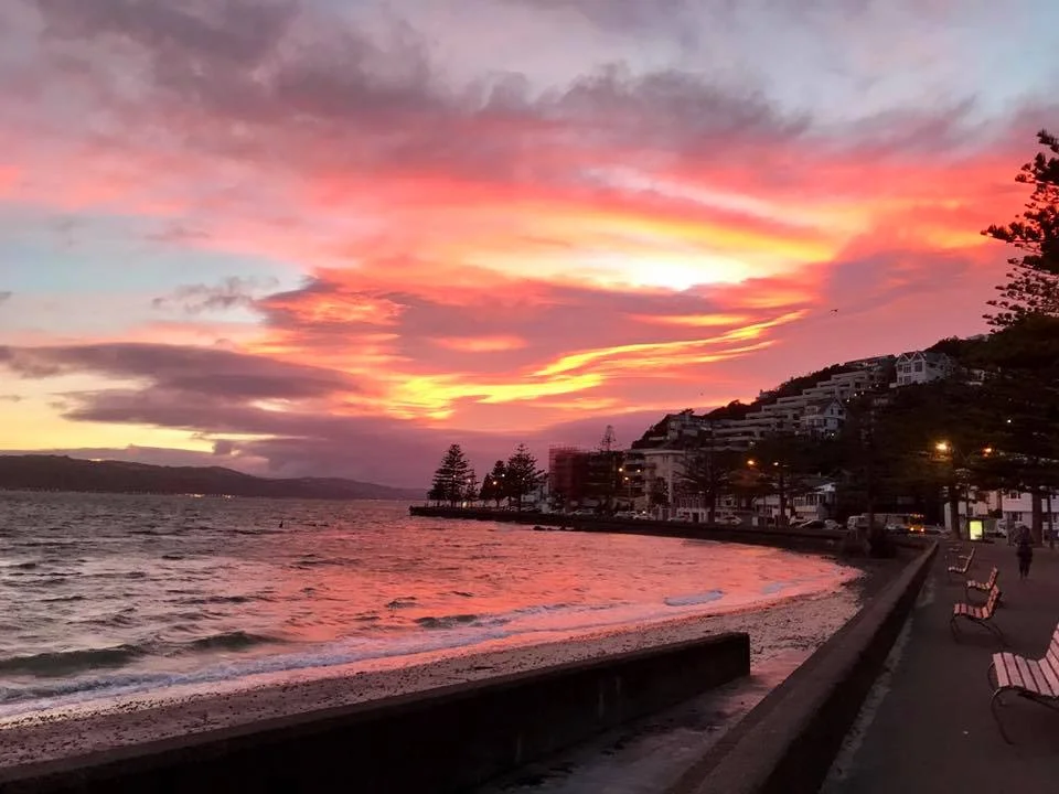 The beautiful view along Oriental Parade