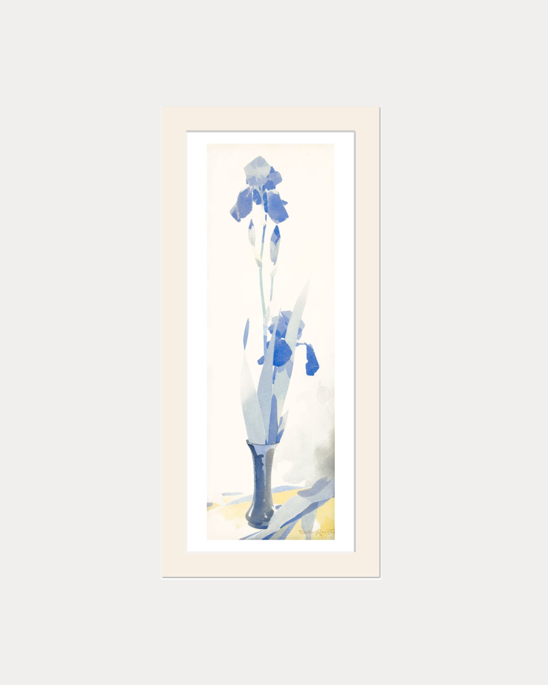 The Irises, 6" x 16"