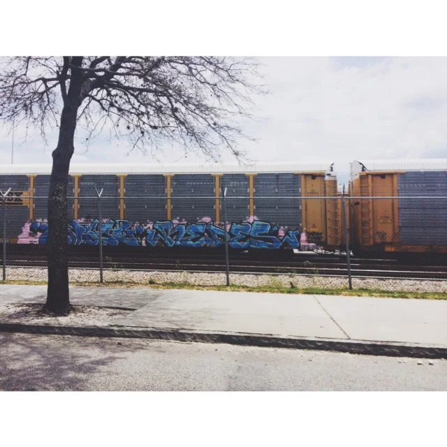 image_11.jpeg