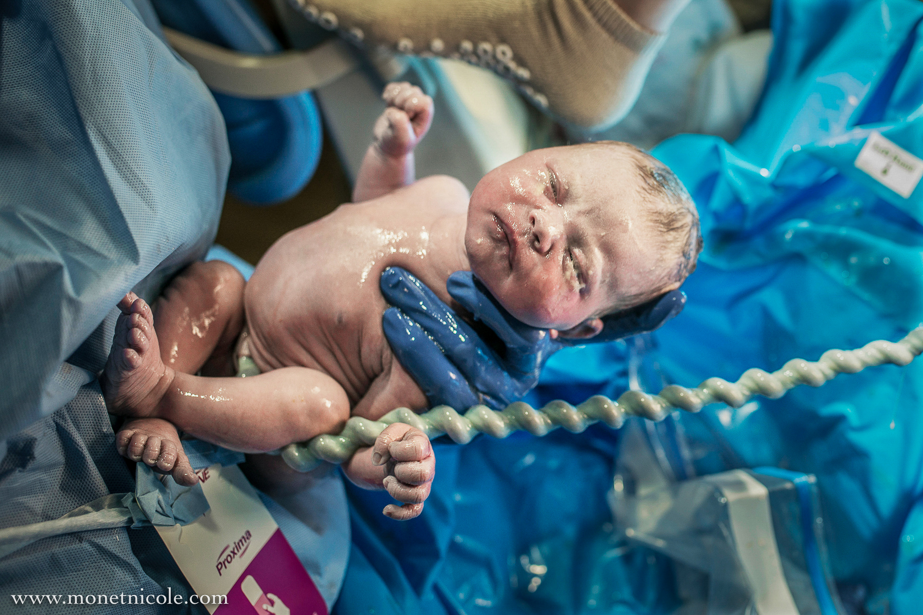 The Beautiful, Incredible Umbilical Cord — Denver Birth Photographer -  Monet Nicole