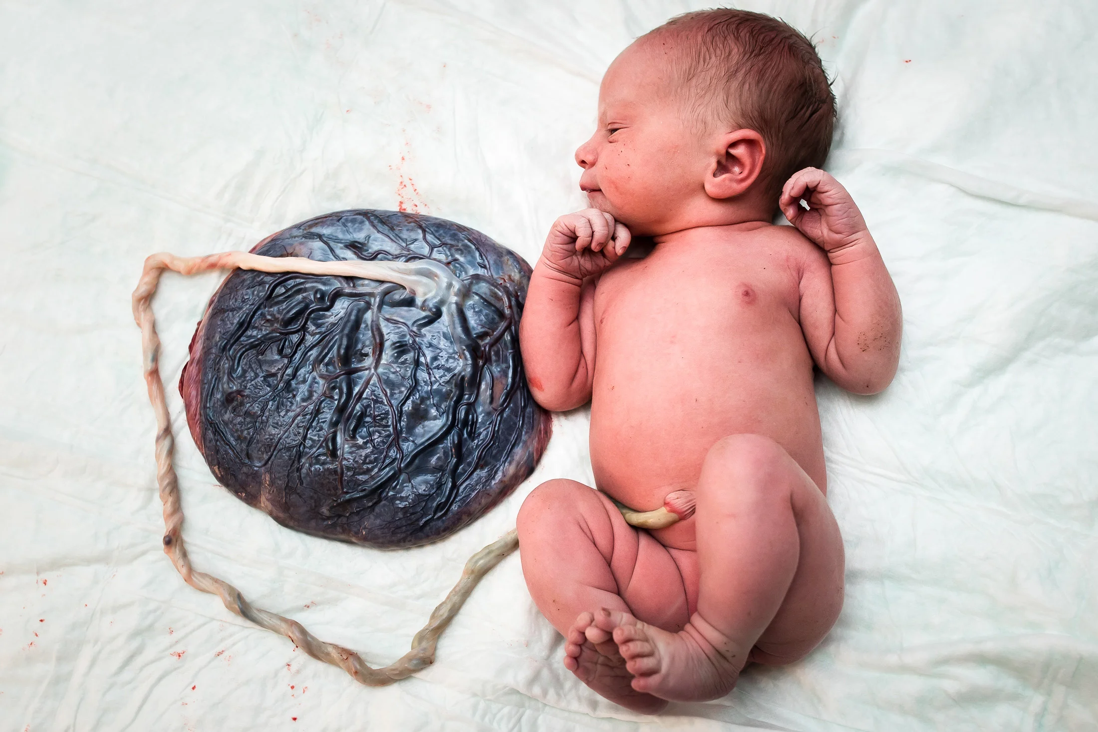 Denver-homebirth-11.jpg