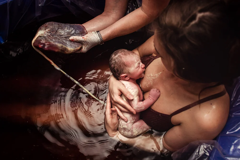 Denver Birth Photography Portfolio — Denver Birth Photographer - Monet Nicole