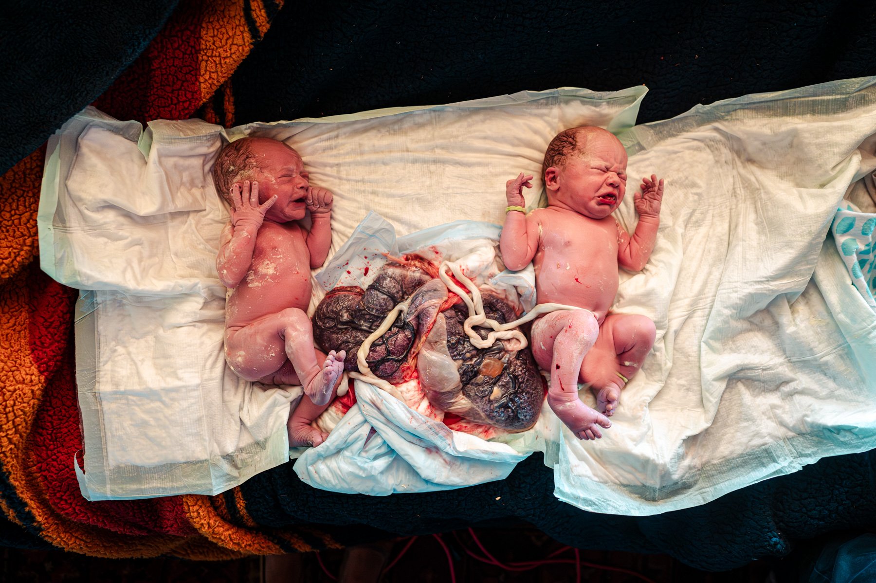Twin-Homebirth-Denver-37.jpg