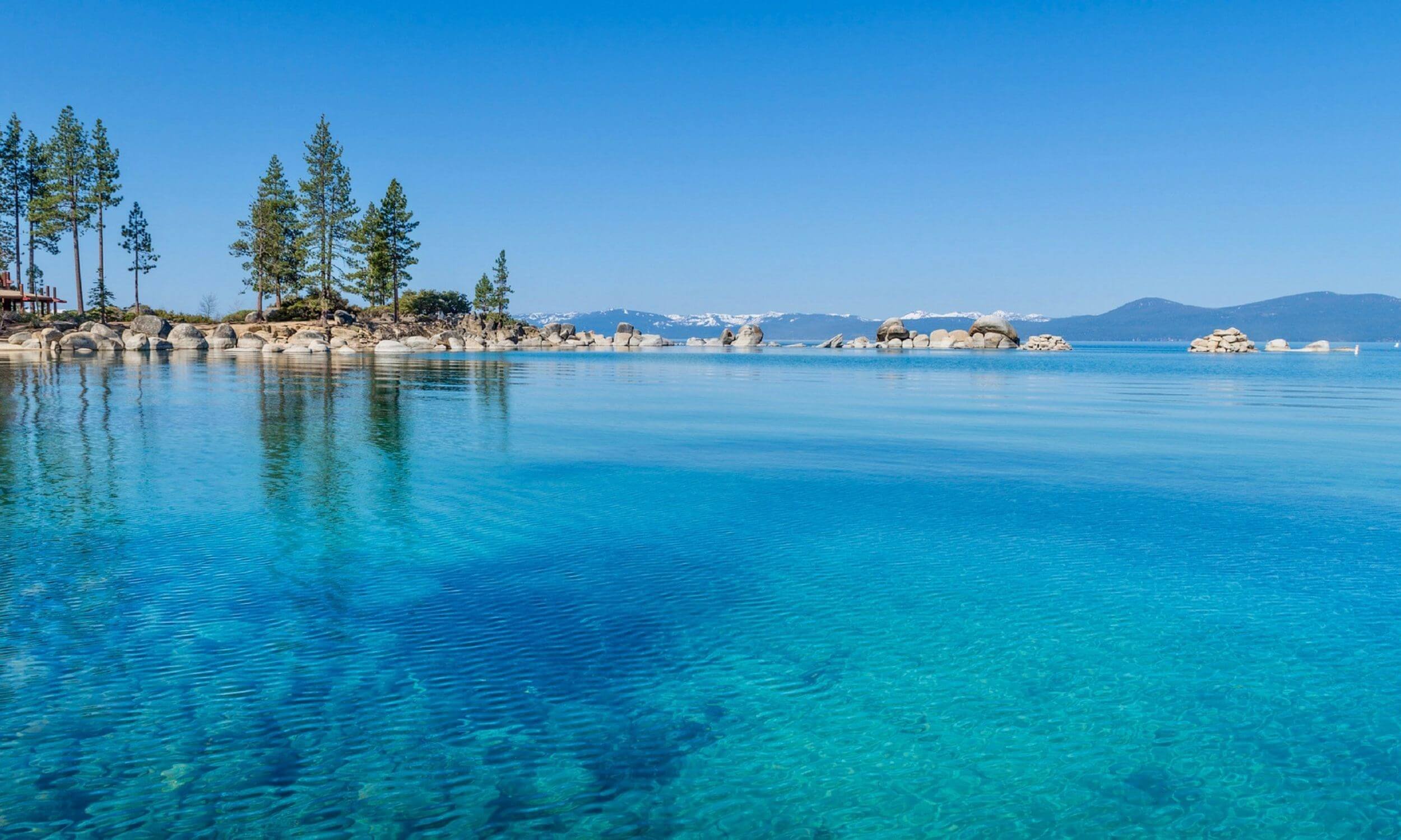 12 step recovery and codependency counseling.jpg