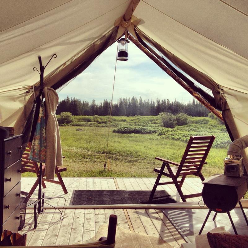 Safari_View_op_800x800.jpg